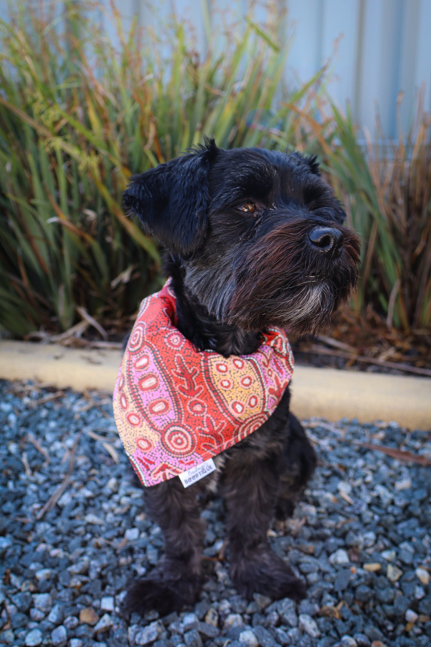 Fire Country Dreaming Custom Bandanas