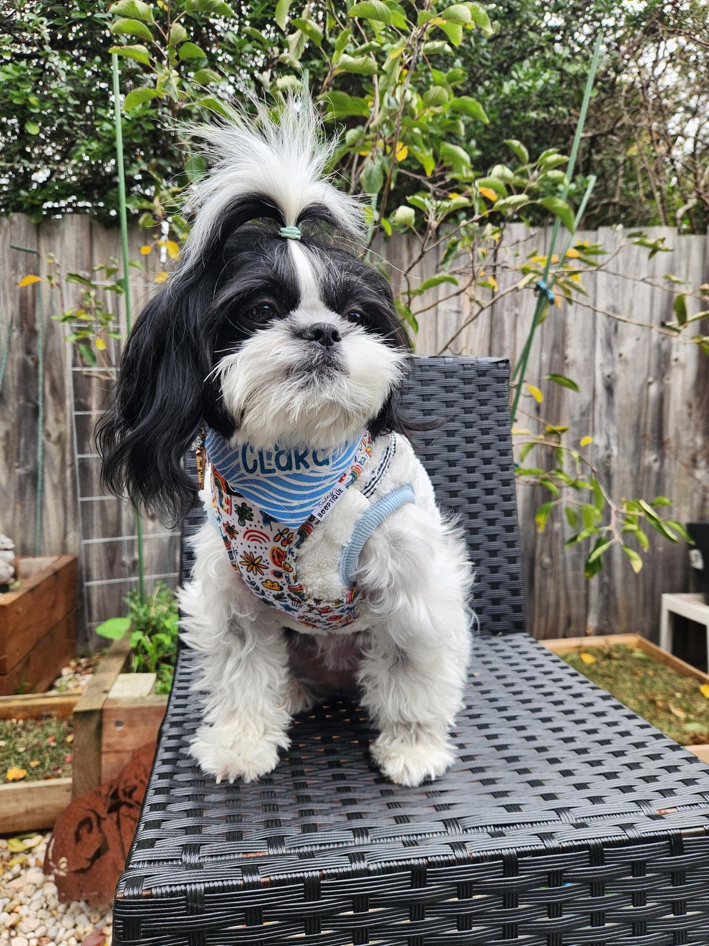 Calm Coast Custom Bandana
