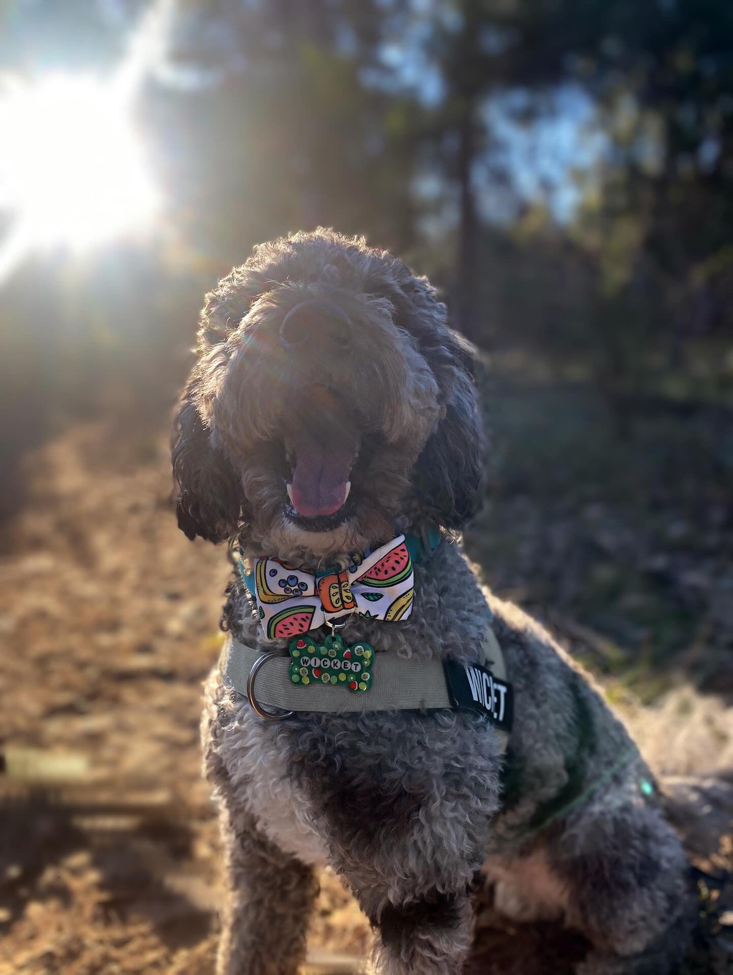 Create your own Bow Tie