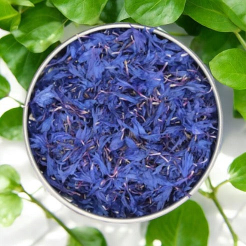 Blue Cornflower Petals