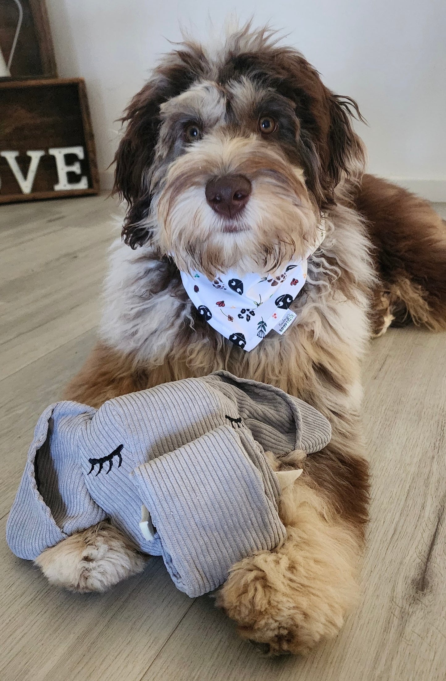Sniffari Custom Bandana