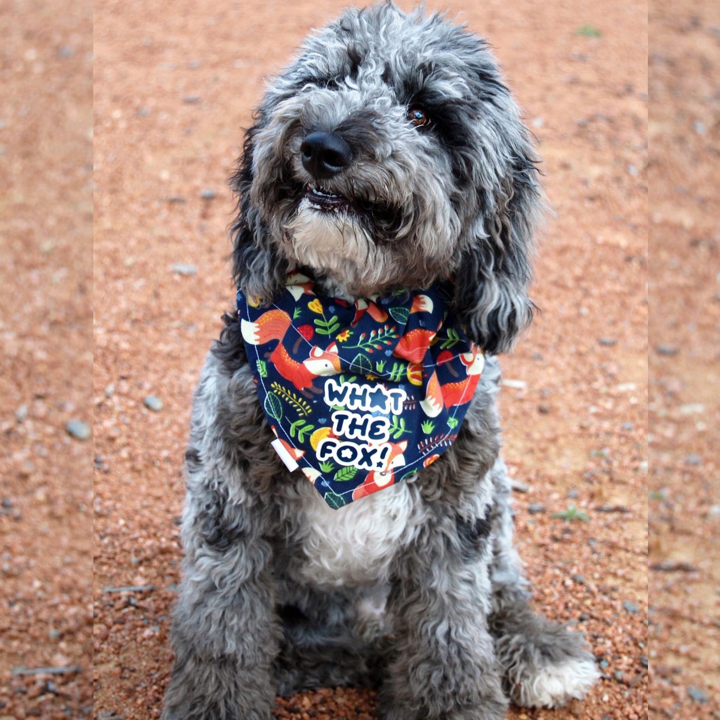 *Discontinued* What The Fox Bandana