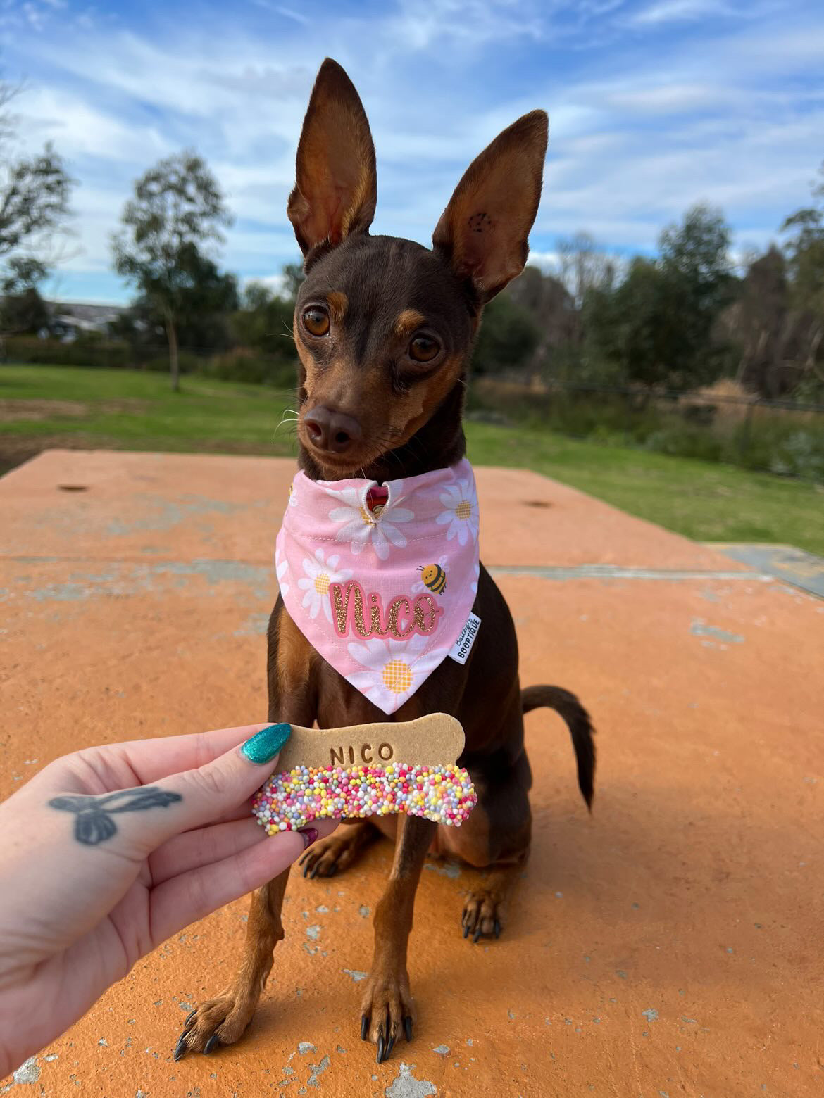*Discontinued* Pink Bee Bandana
