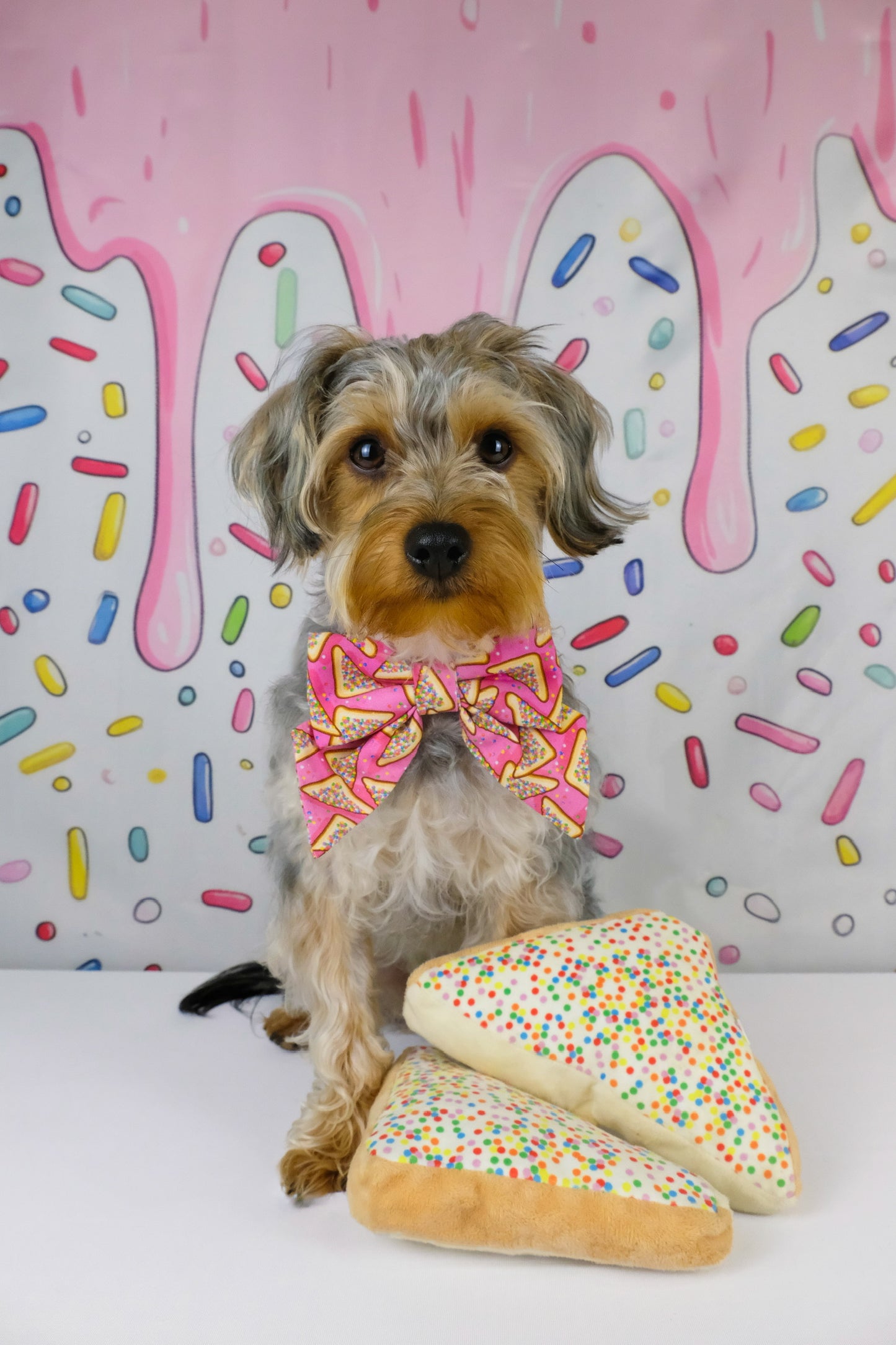 Fairy Bread Collar Bows
