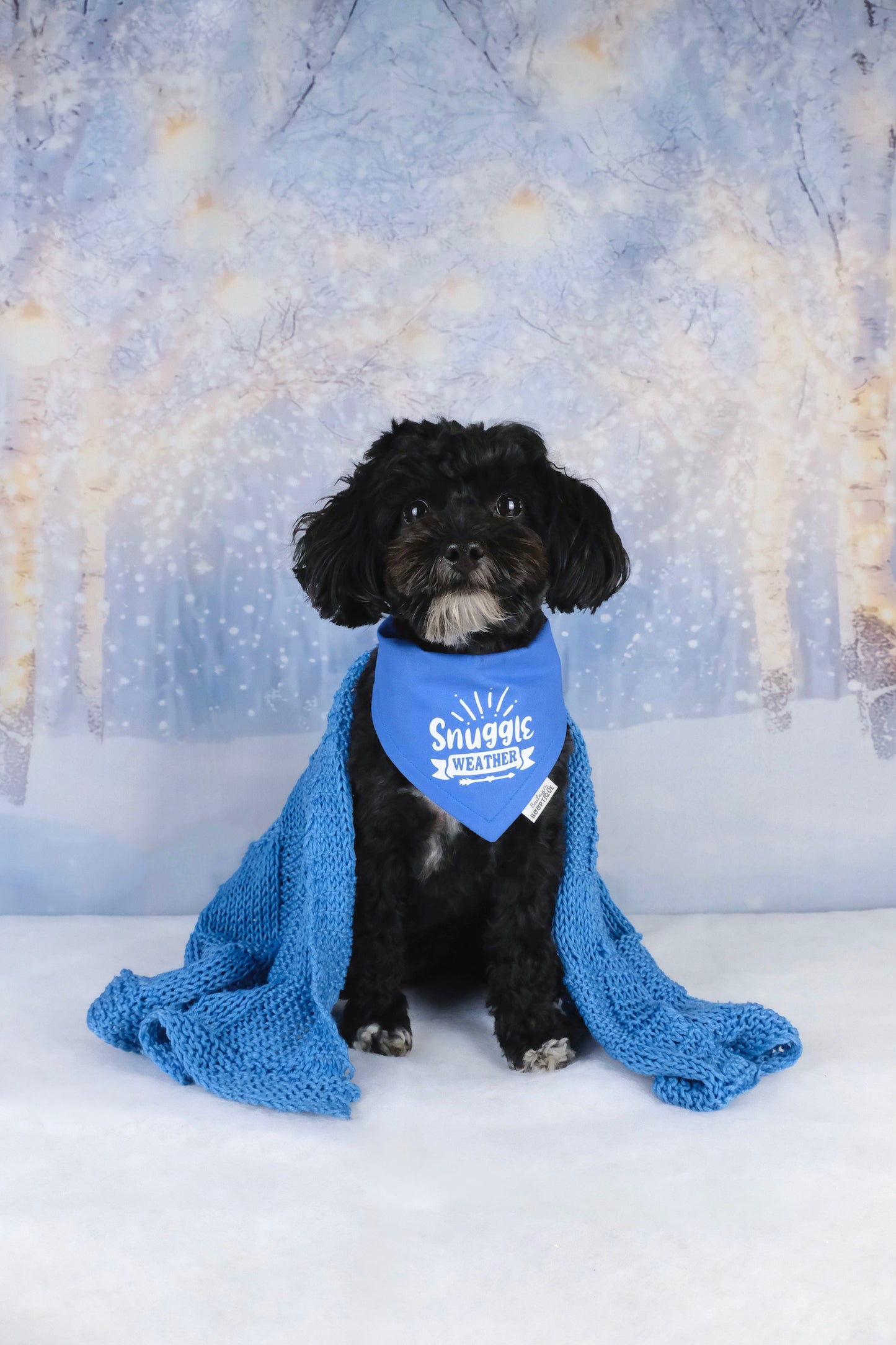 Snuggle Weather Bandana