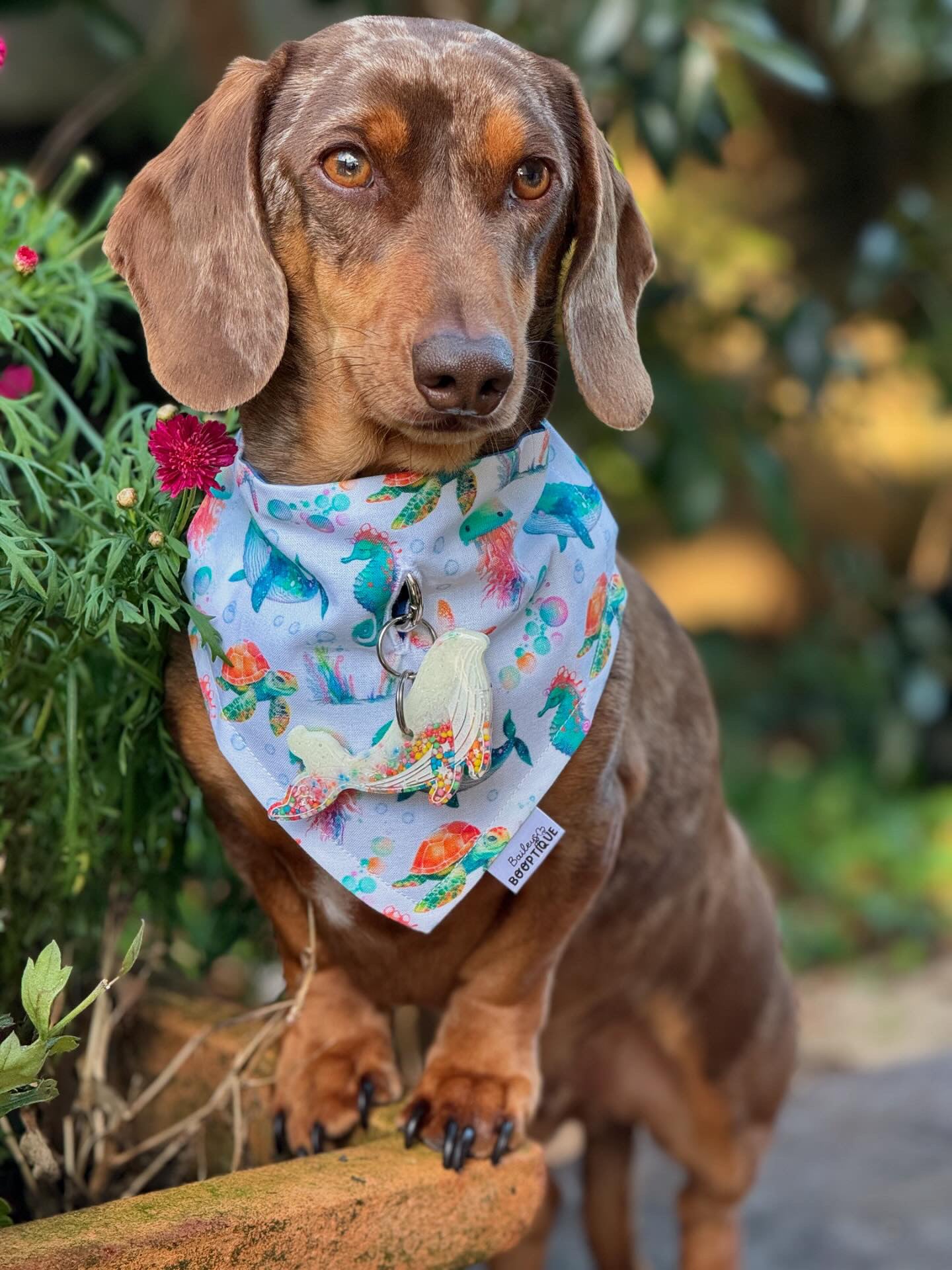*Discontinued* Under The Sea Bandana