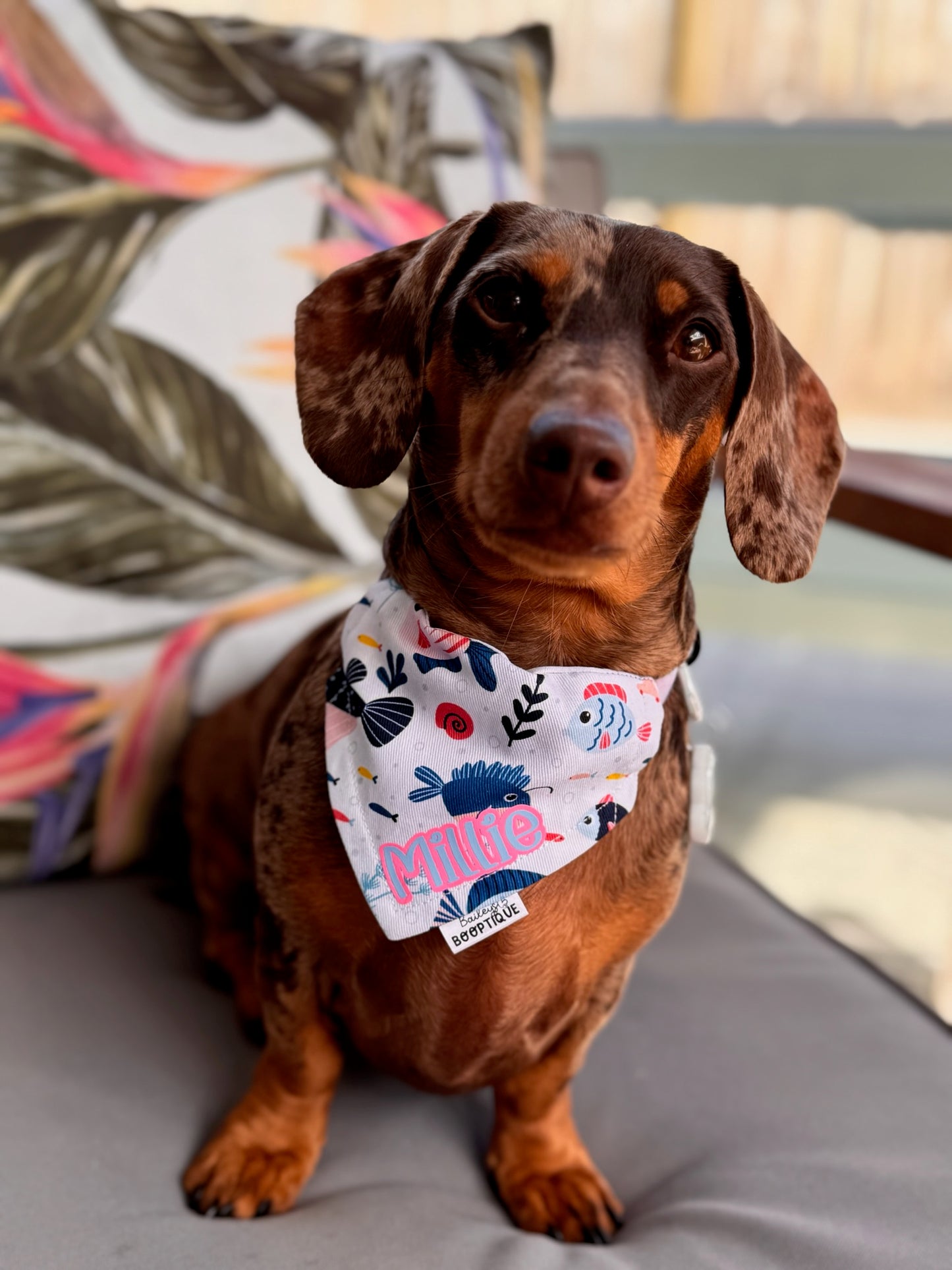 Somethin' Fishy Custom Bandana