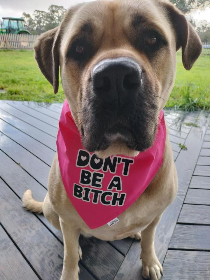 Don't Be A Bitch Custom Bandana