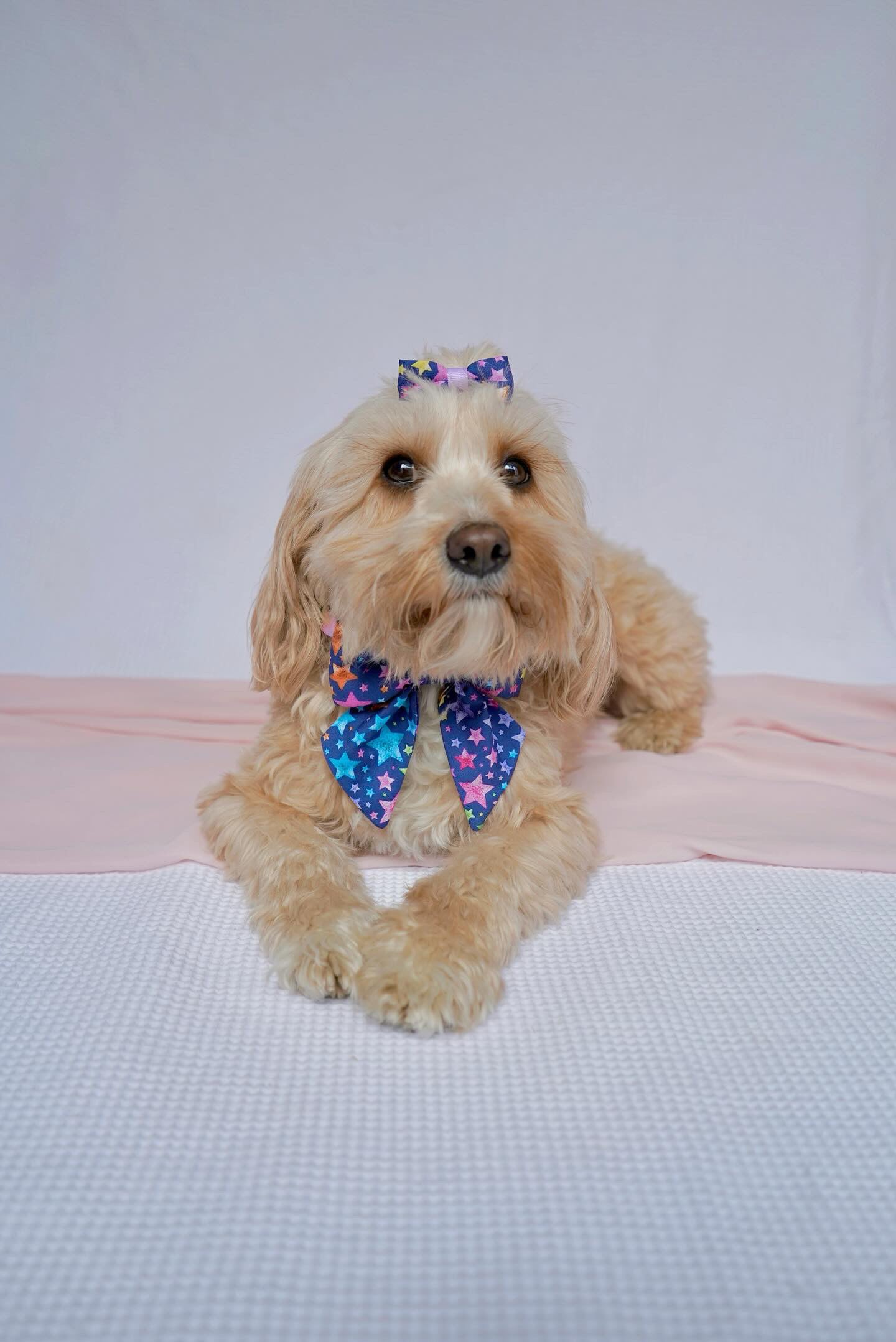 Create Your Own Fabric Mini Hair Bows
