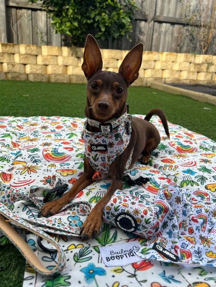 Heavenly Kiss Harness Set