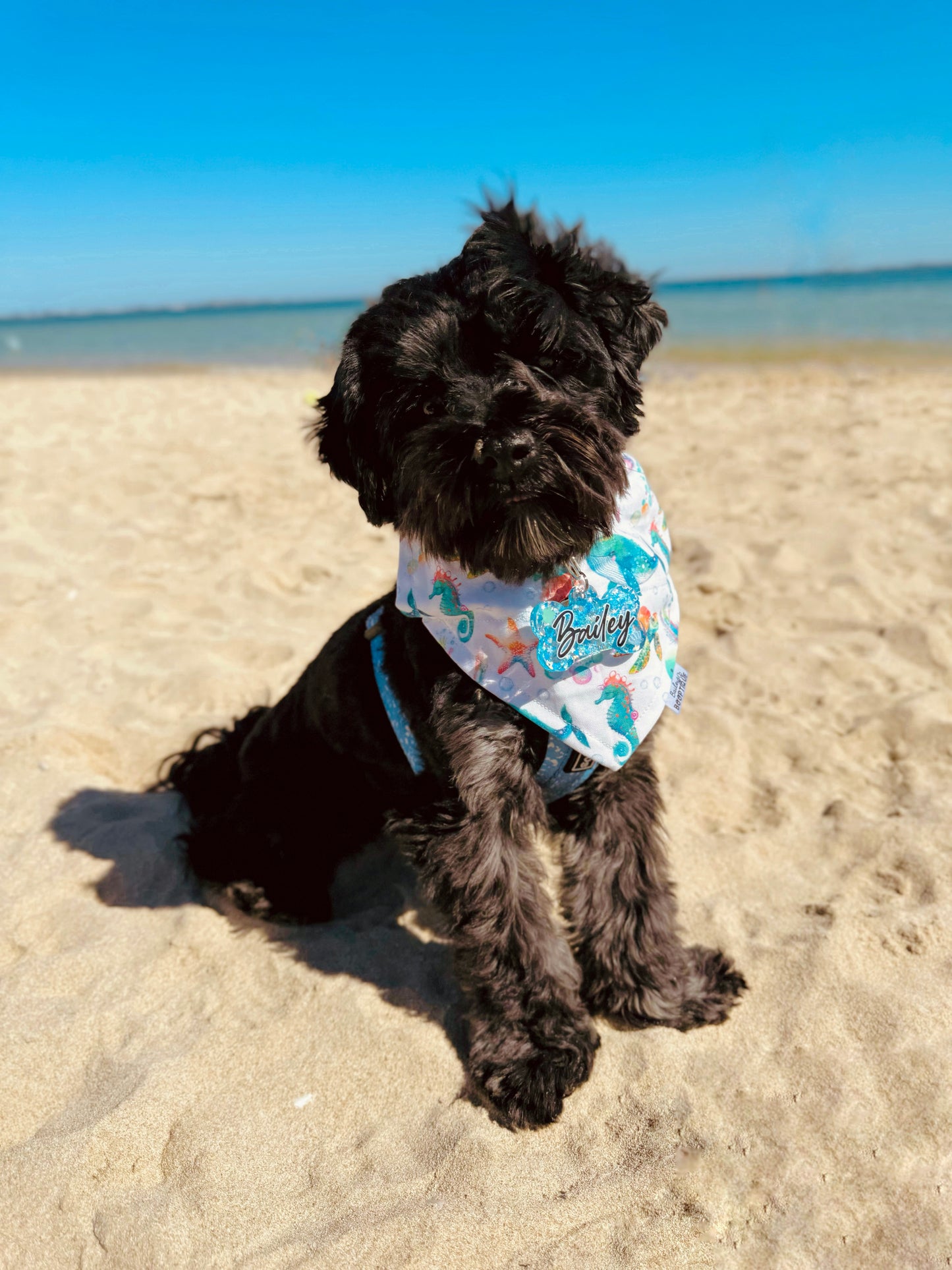 *Discontinued* Under The Sea Bandana