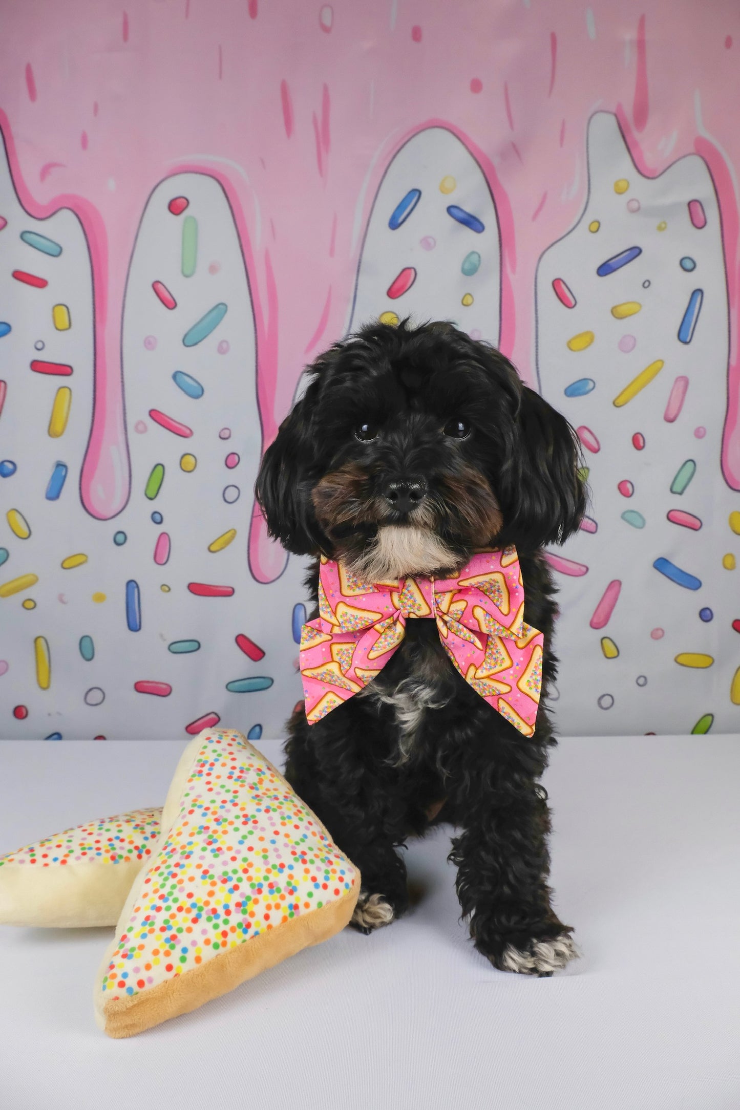 Fairy Bread Collar Bows