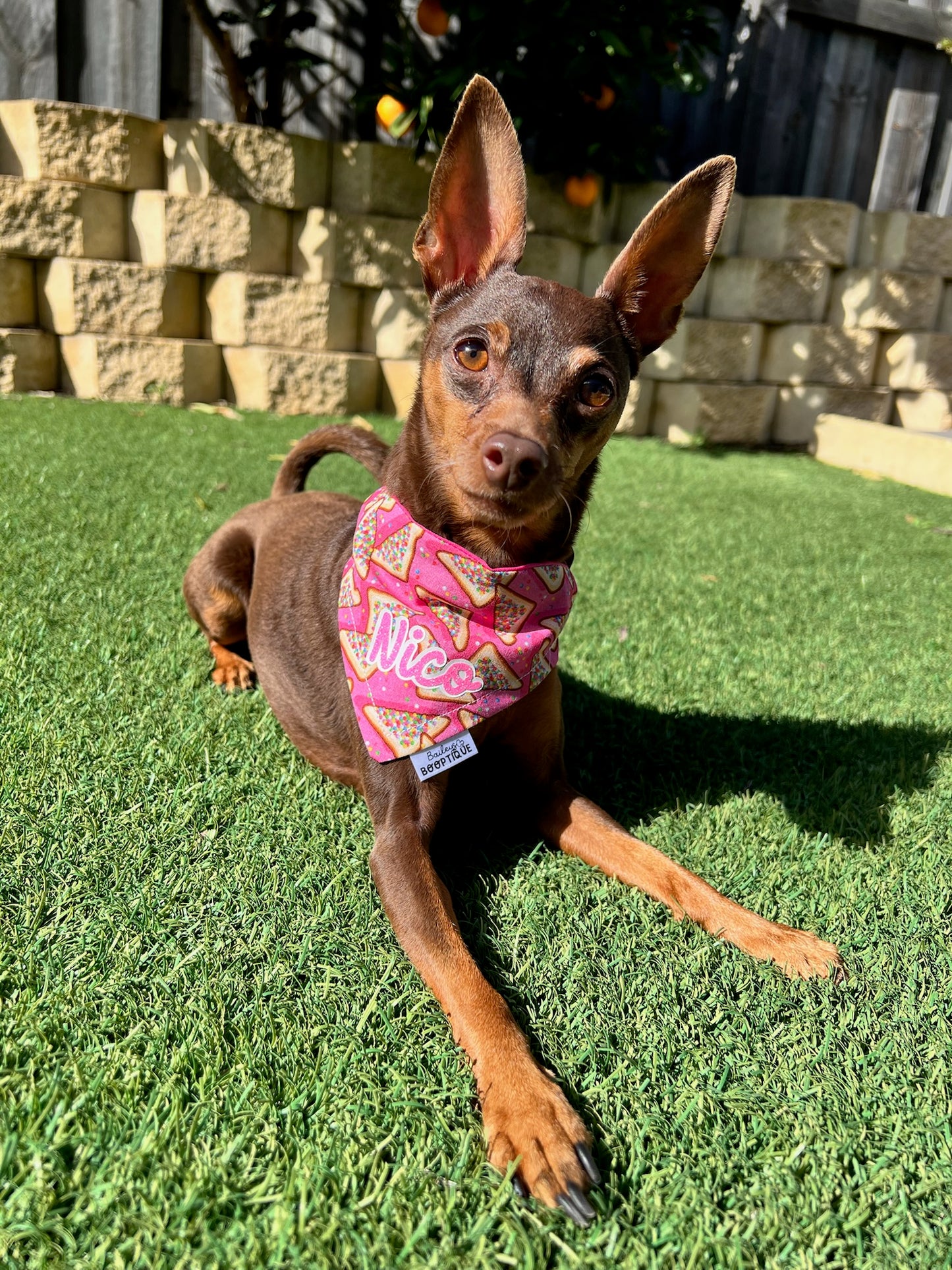 Fairy Bread Custom Bandana
