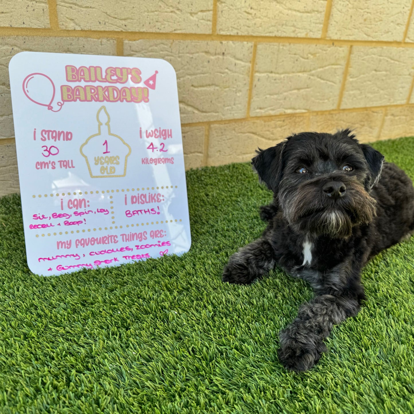 Reusable Personalised Pet Barkday / Gotcha Day Board