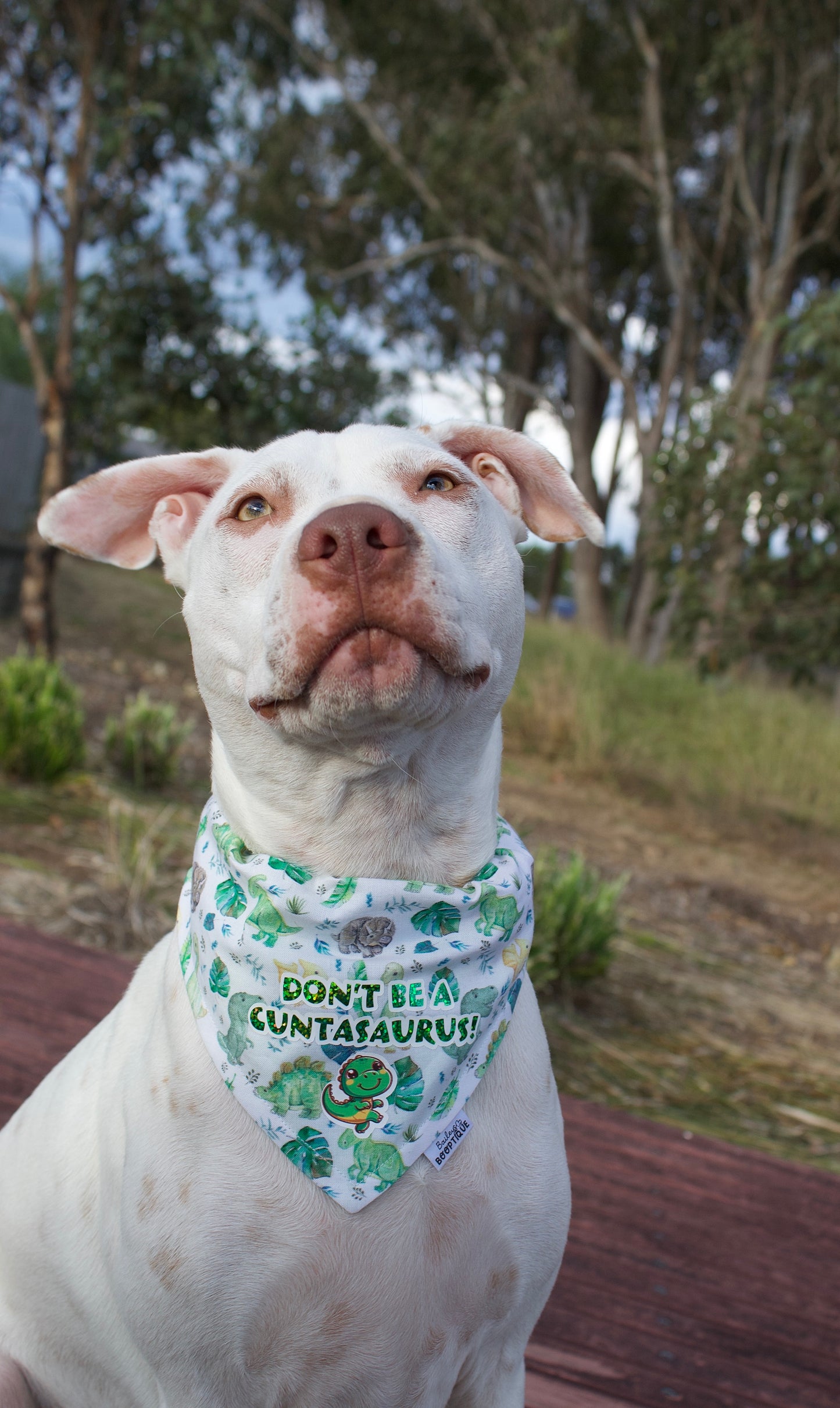 Don't Be A Cuntasaurus Bandana
