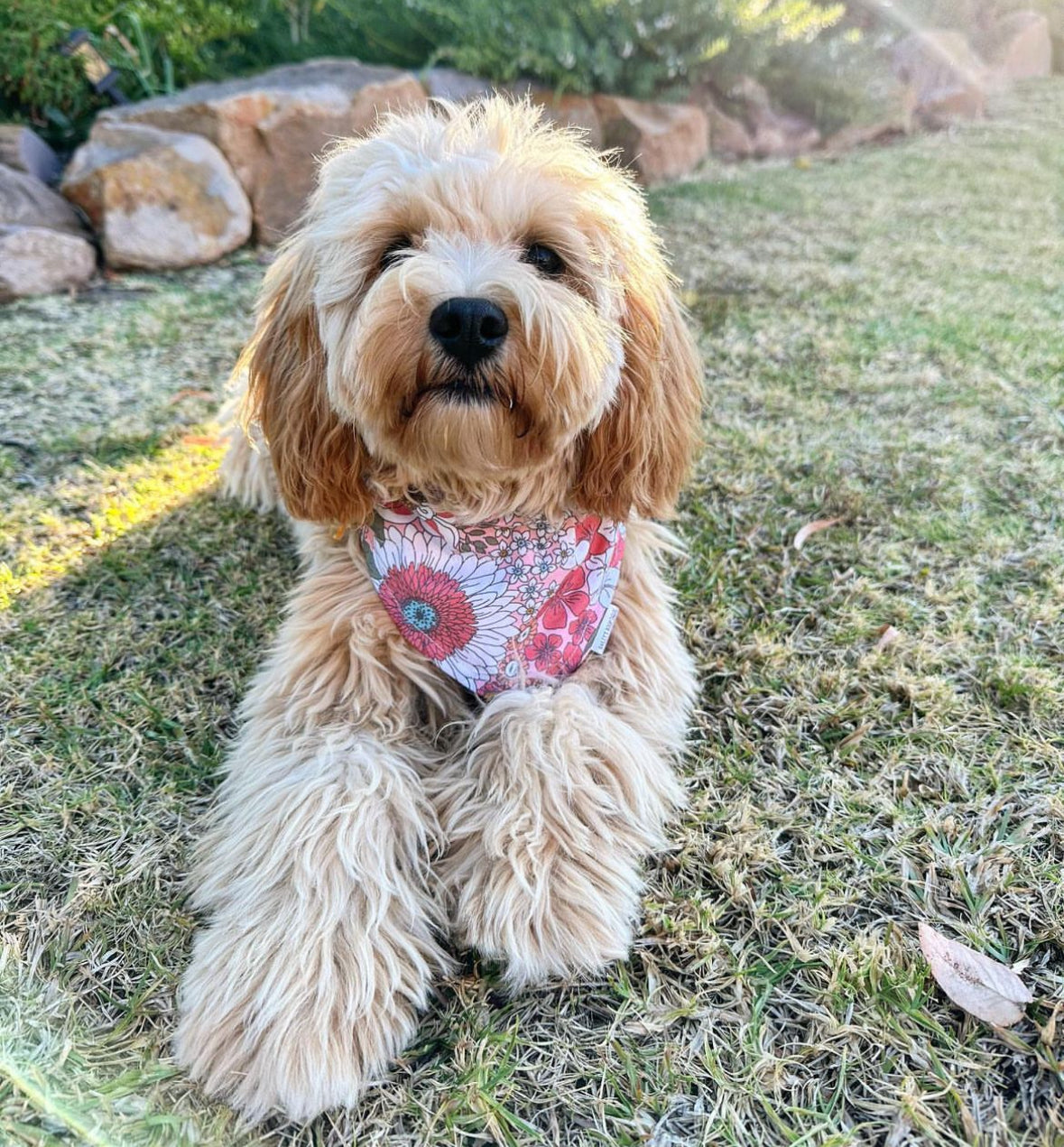 *Discontinued* Floral Whispers Bandana
