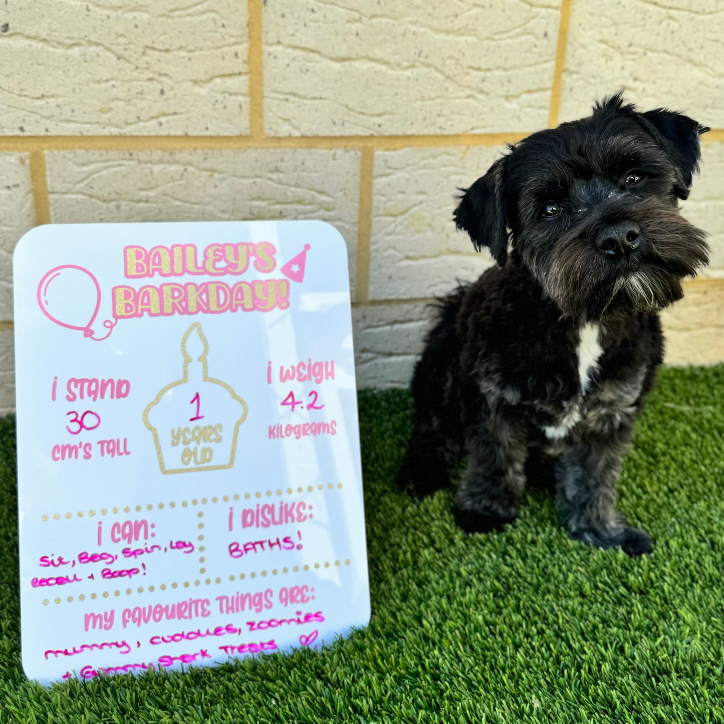 Reusable Personalised Pet Barkday / Gotcha Day Board