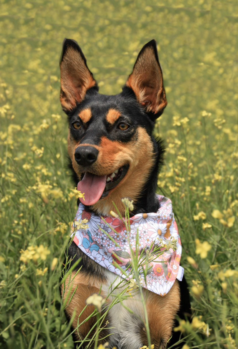 *Discontinued* Floral Whispers Bandana