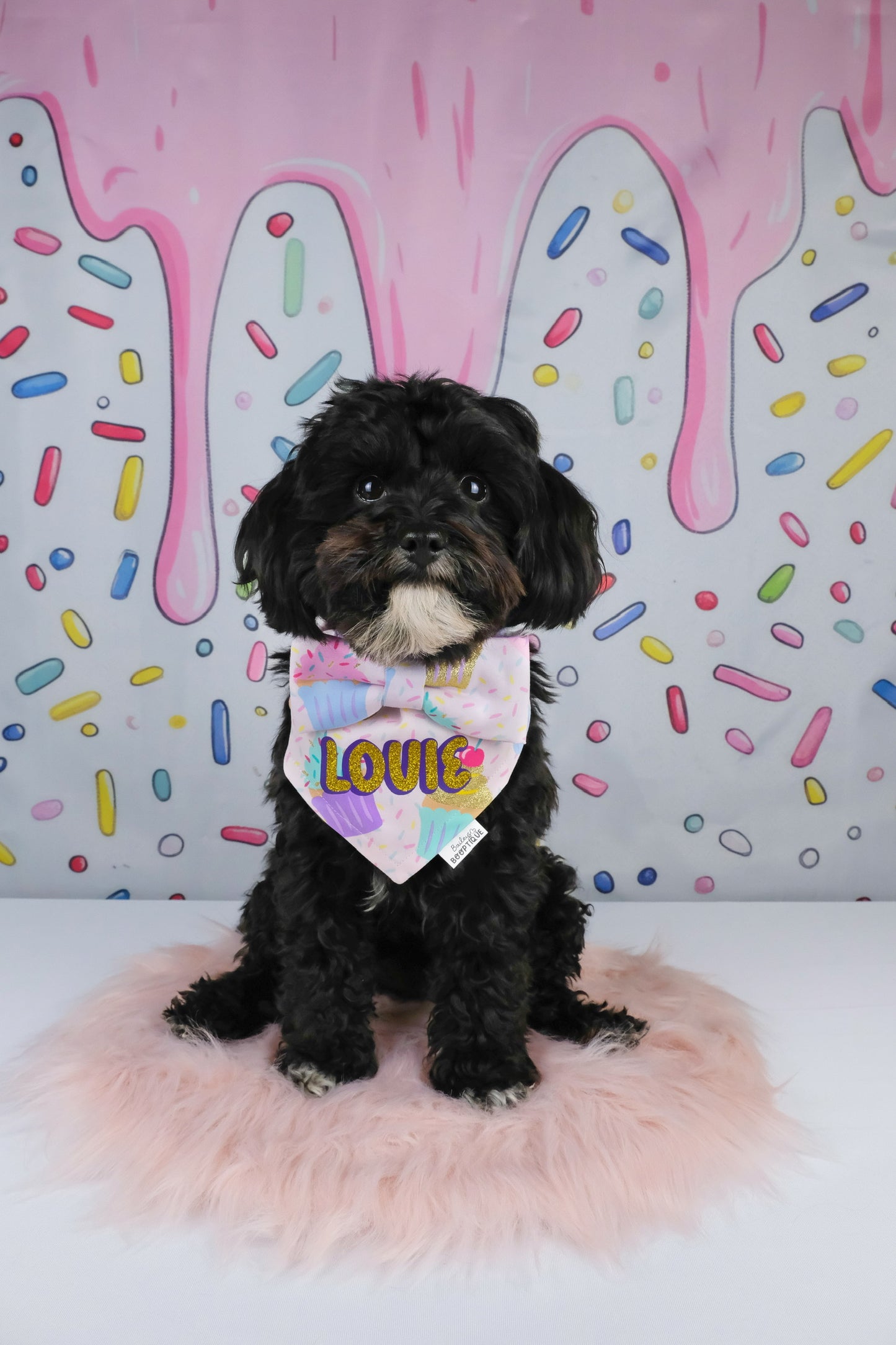 Cupcakes & Sprinkles Collar Bows