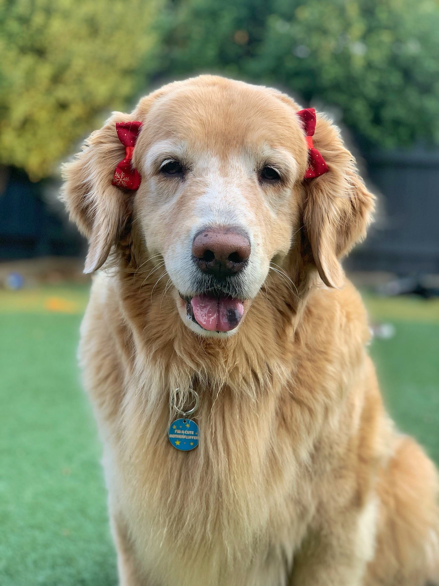 Create Your Own Fabric Mini Hair Bows