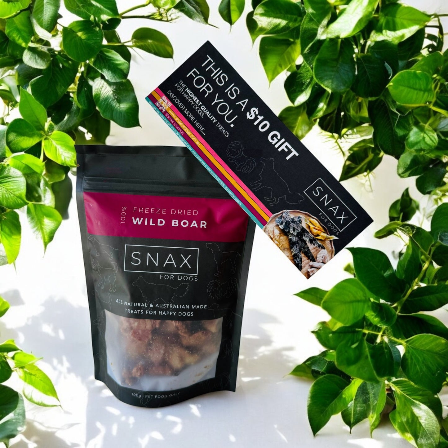 Wild Boar Treats