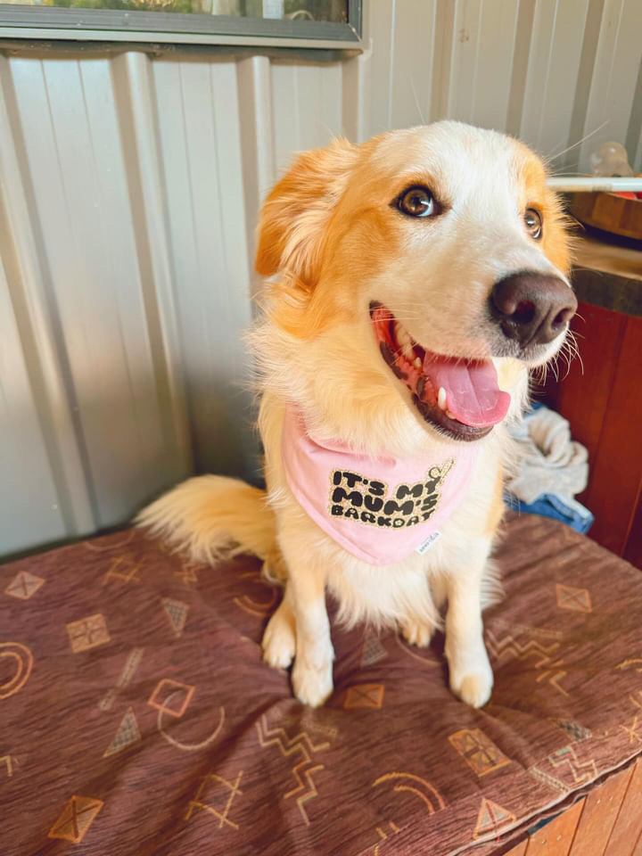 Customisable “Its my Mum’s barkday” Bandana