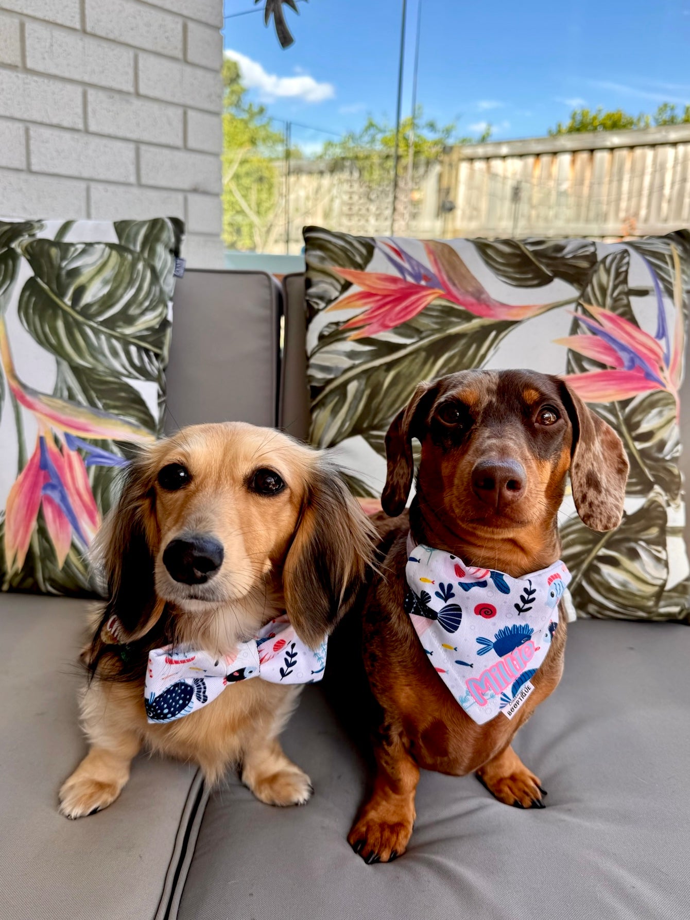 Somethin' Fishy Custom Bandana