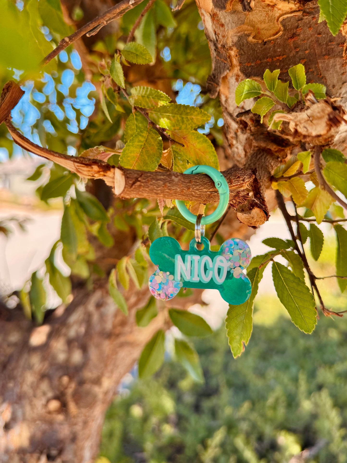 Ballistic Pet ID Tag | Bailey's Booptique