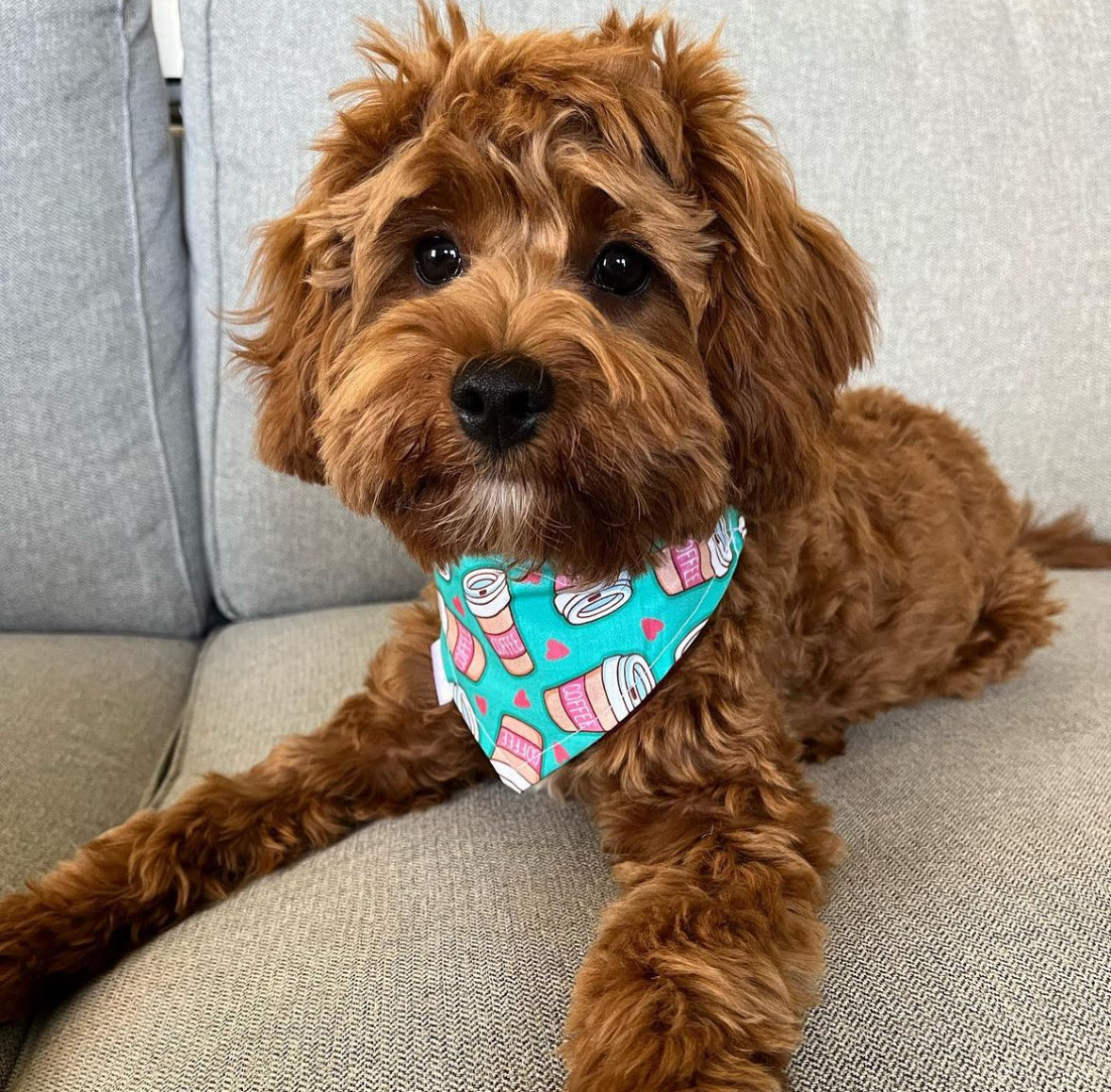 *Discontinued* But First… Coffee Bandana