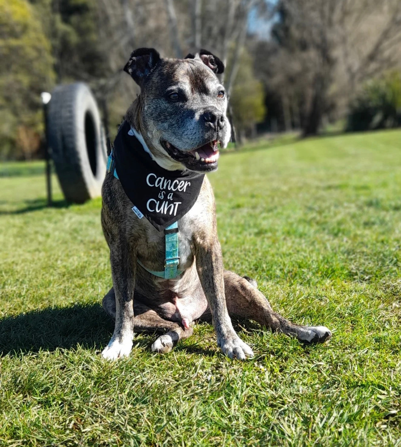 Cancer Is A Cunt custom Bandana