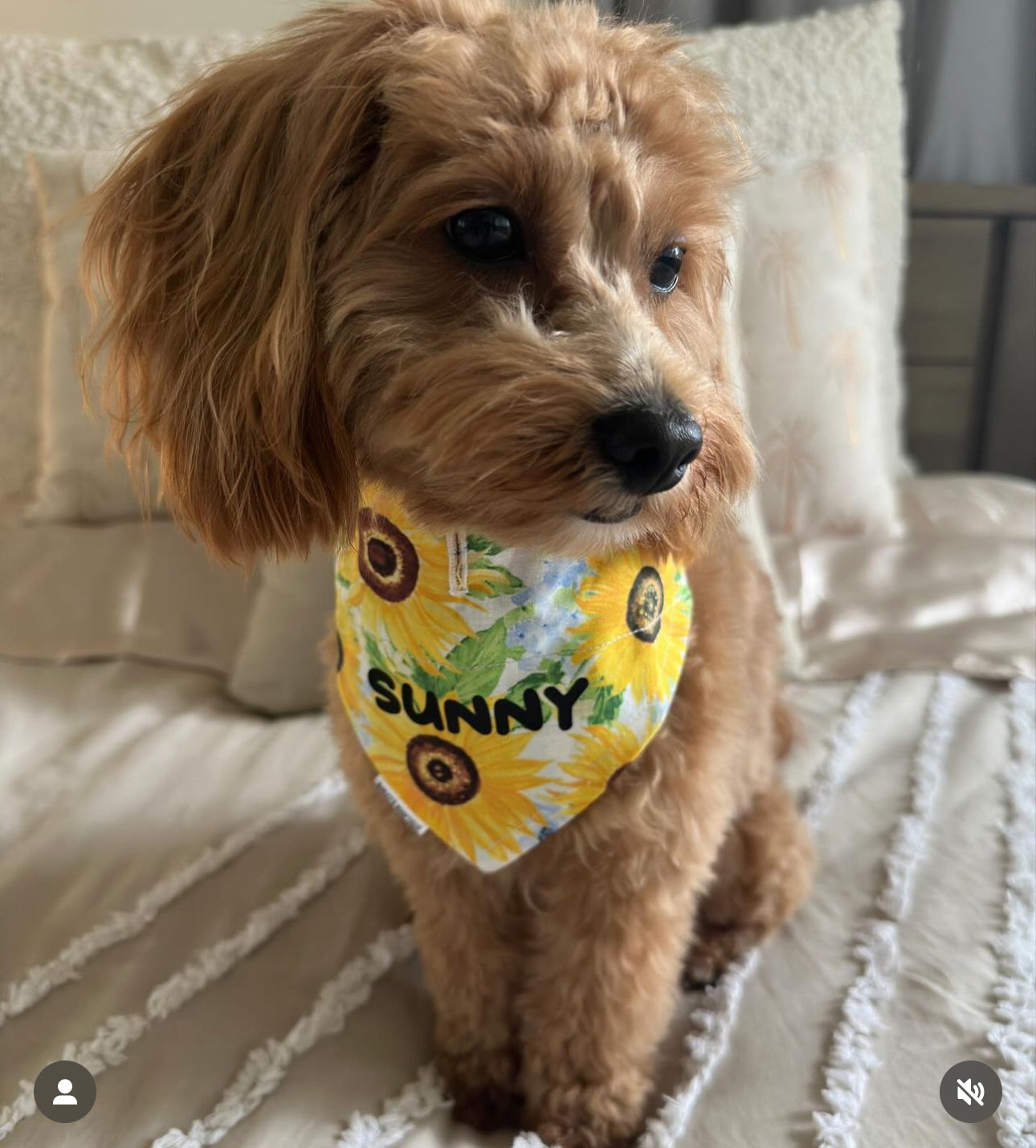 *Discontinued* Sunflower Glow Bandana
