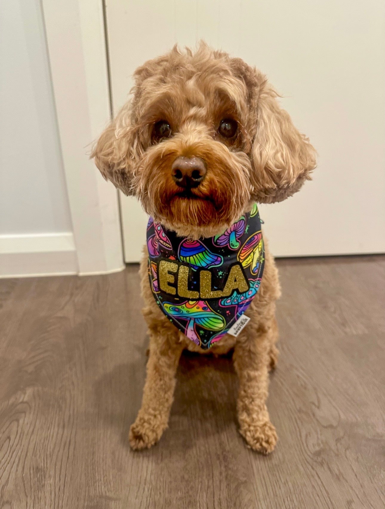 Fungi Fiesta Custom Bandana