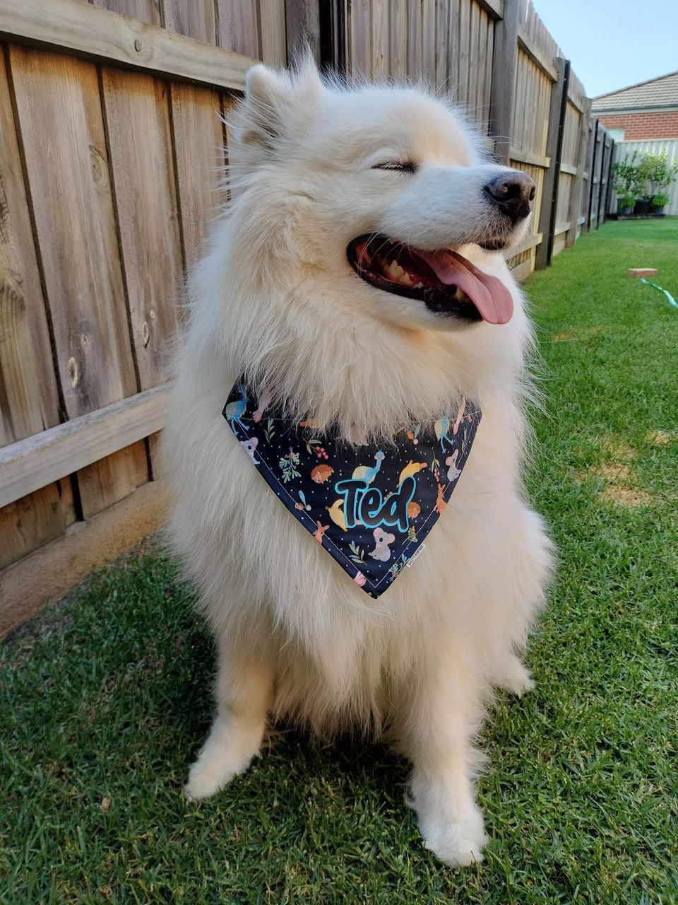 *Discontinued* Outback Beauty Bandana
