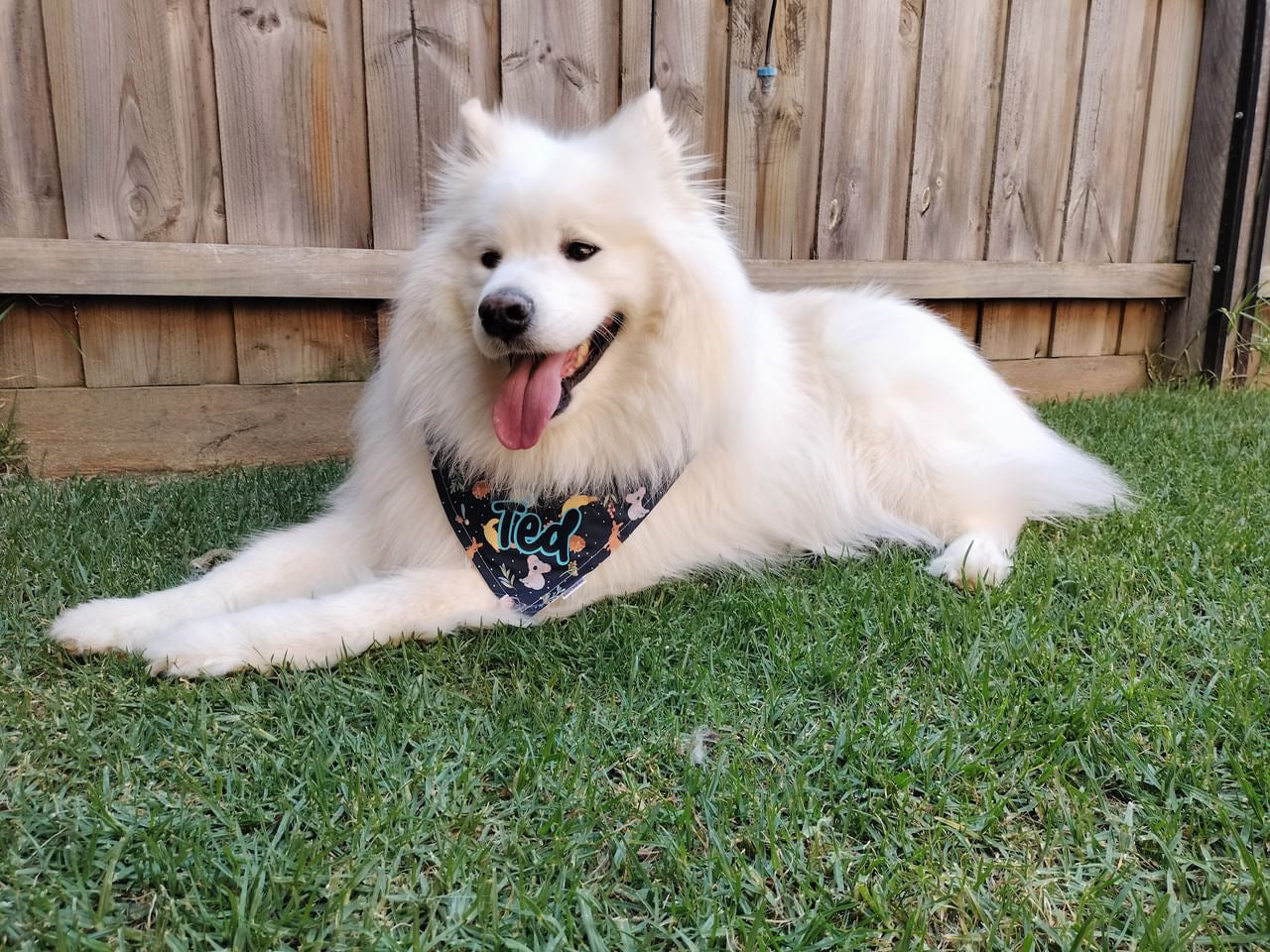 *Discontinued* Outback Beauty Bandana