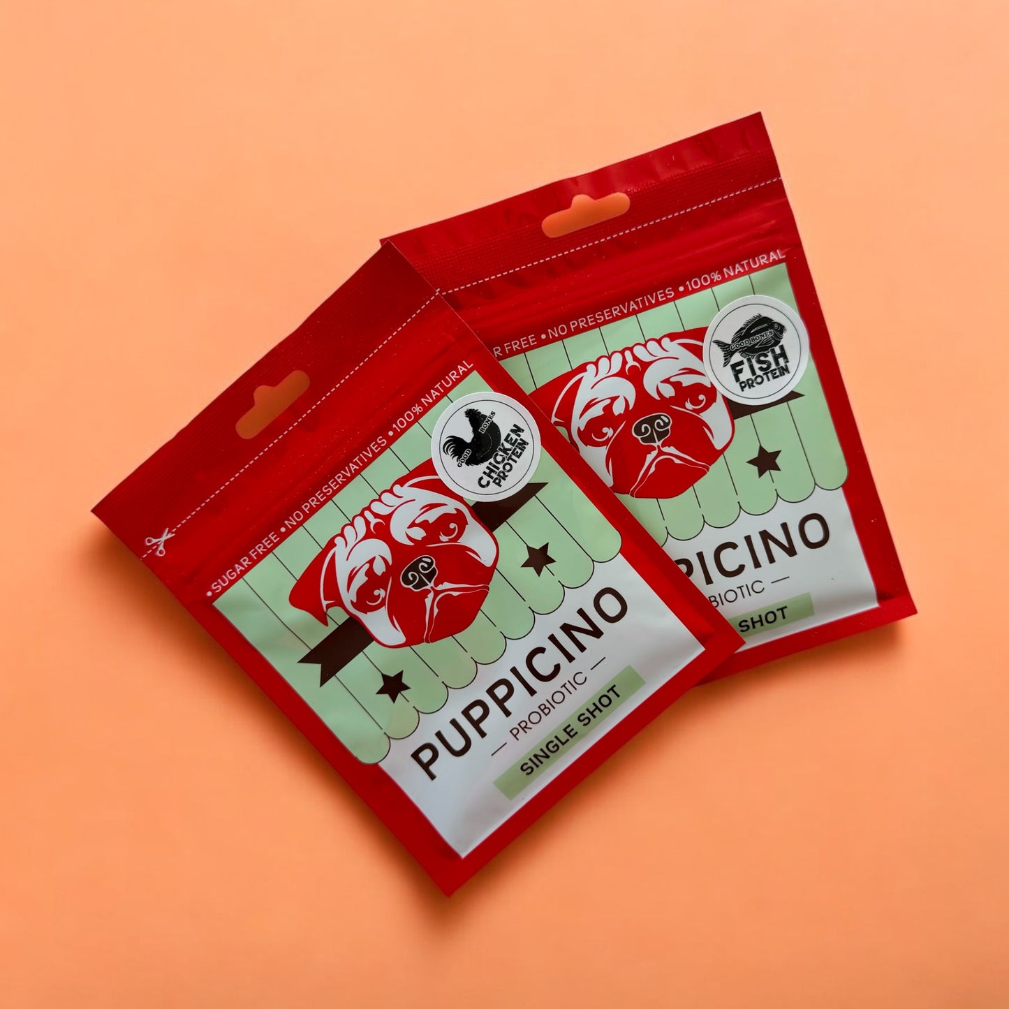 Protein Puppicino Probiotic Sachet (Fish || Chicken)