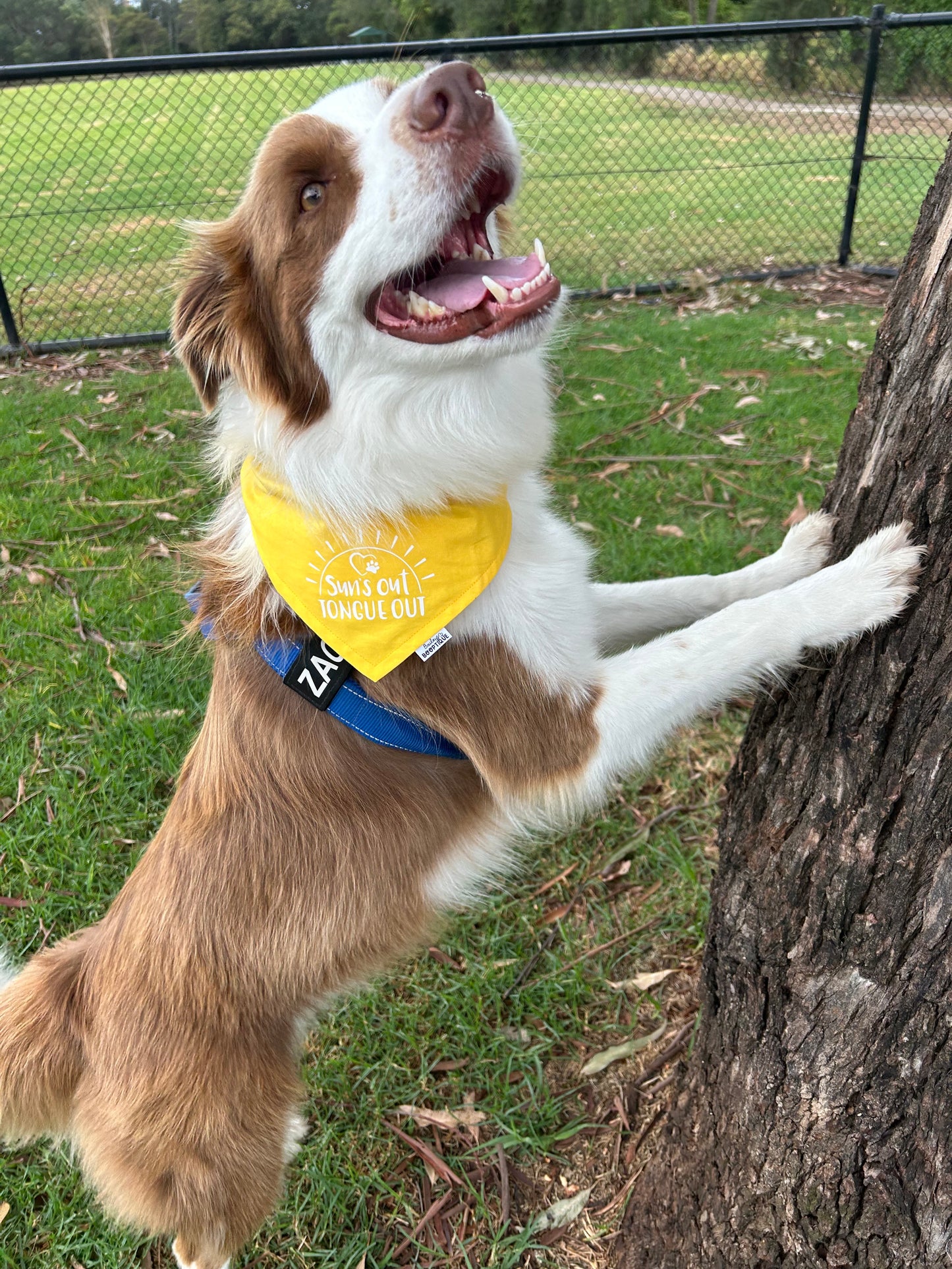 Suns Out, Tongue Out Custom Bandana