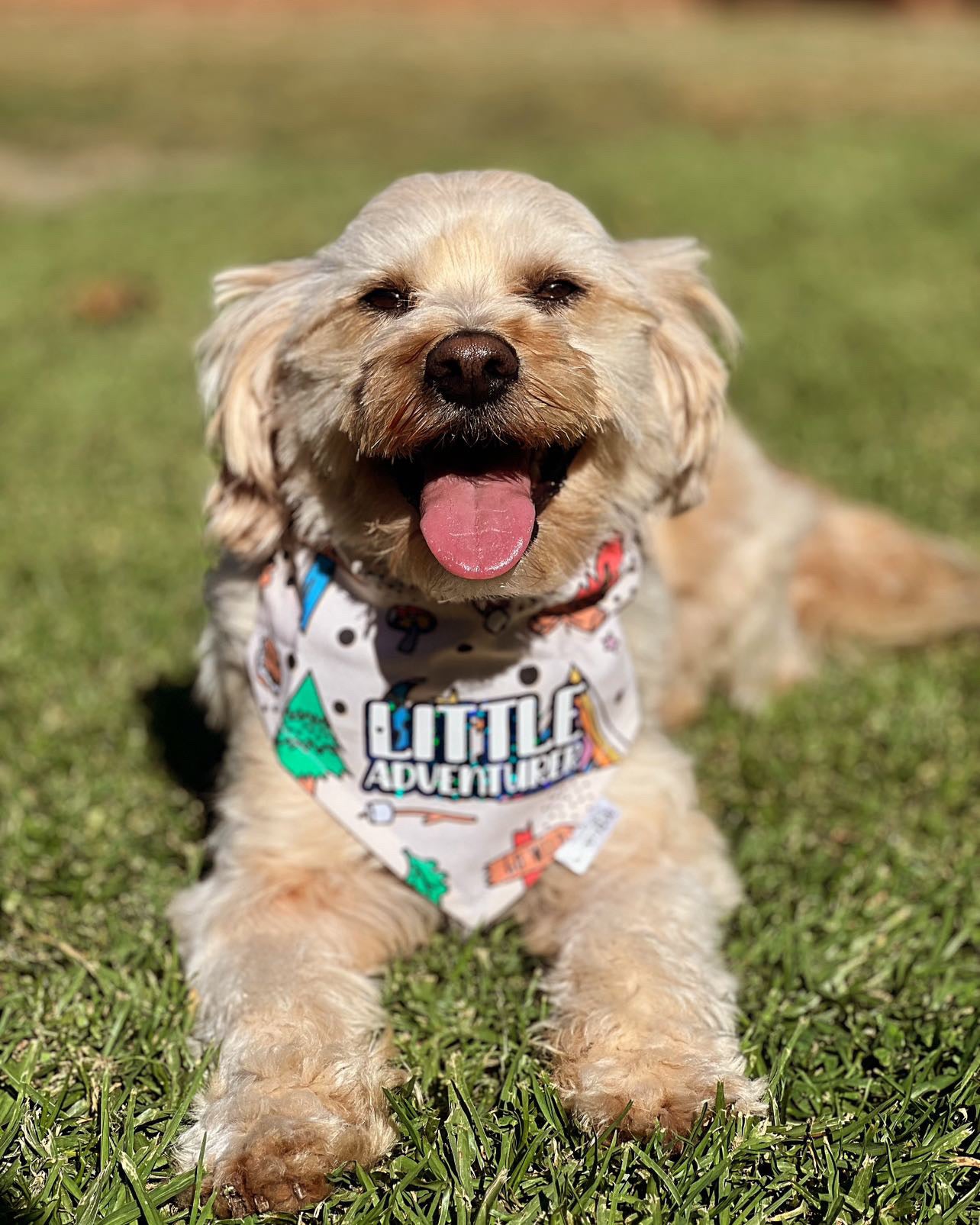 *Discontinued* Custom Camping Bandana