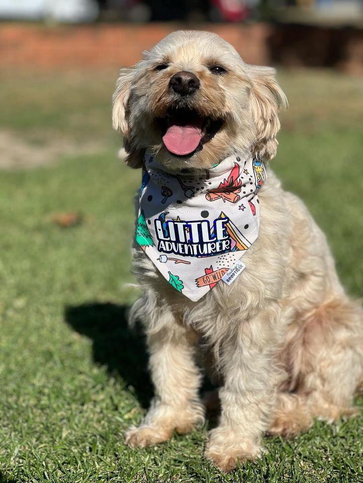*Discontinued* Custom Camping Bandana