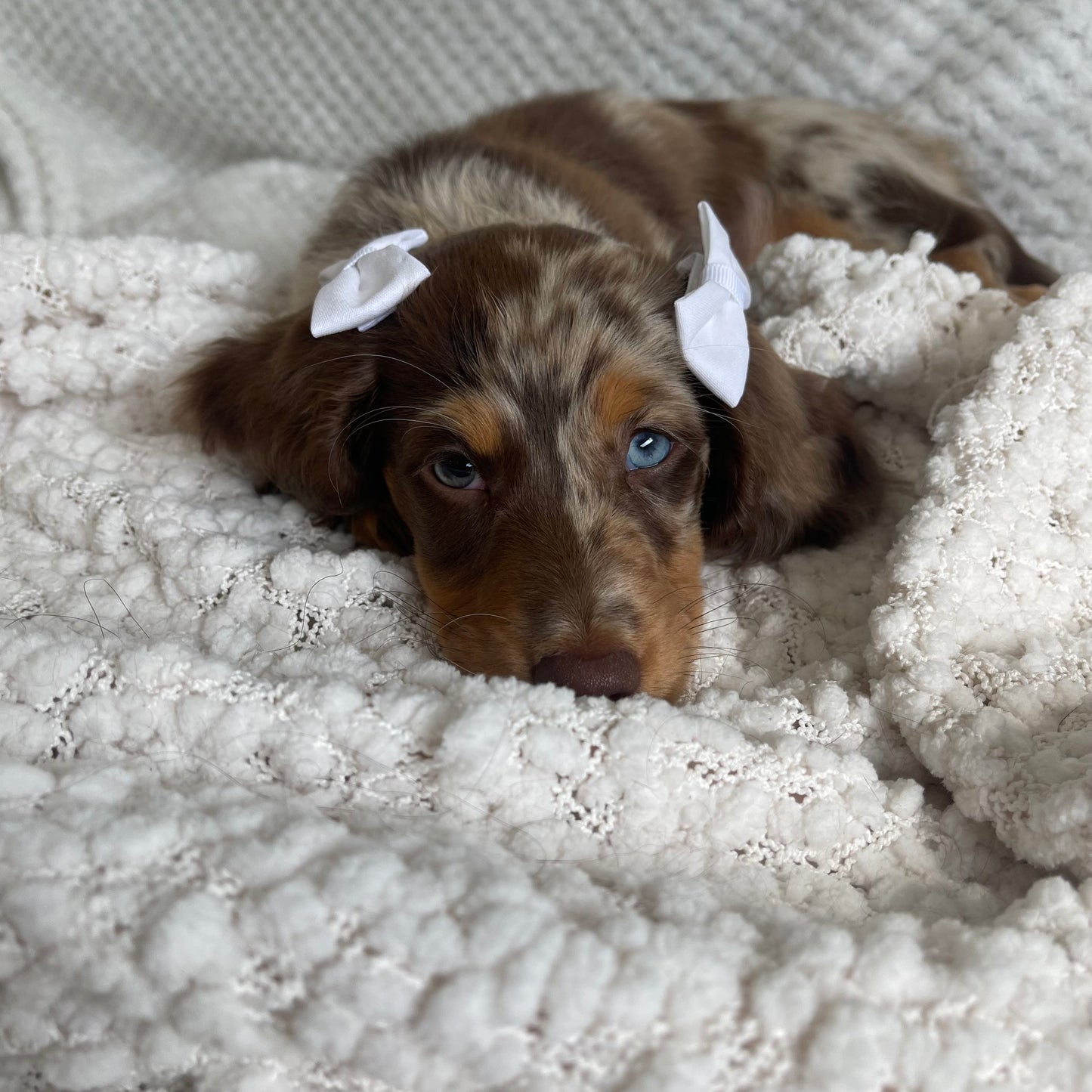 Create Your Own Fabric Mini Hair Bows