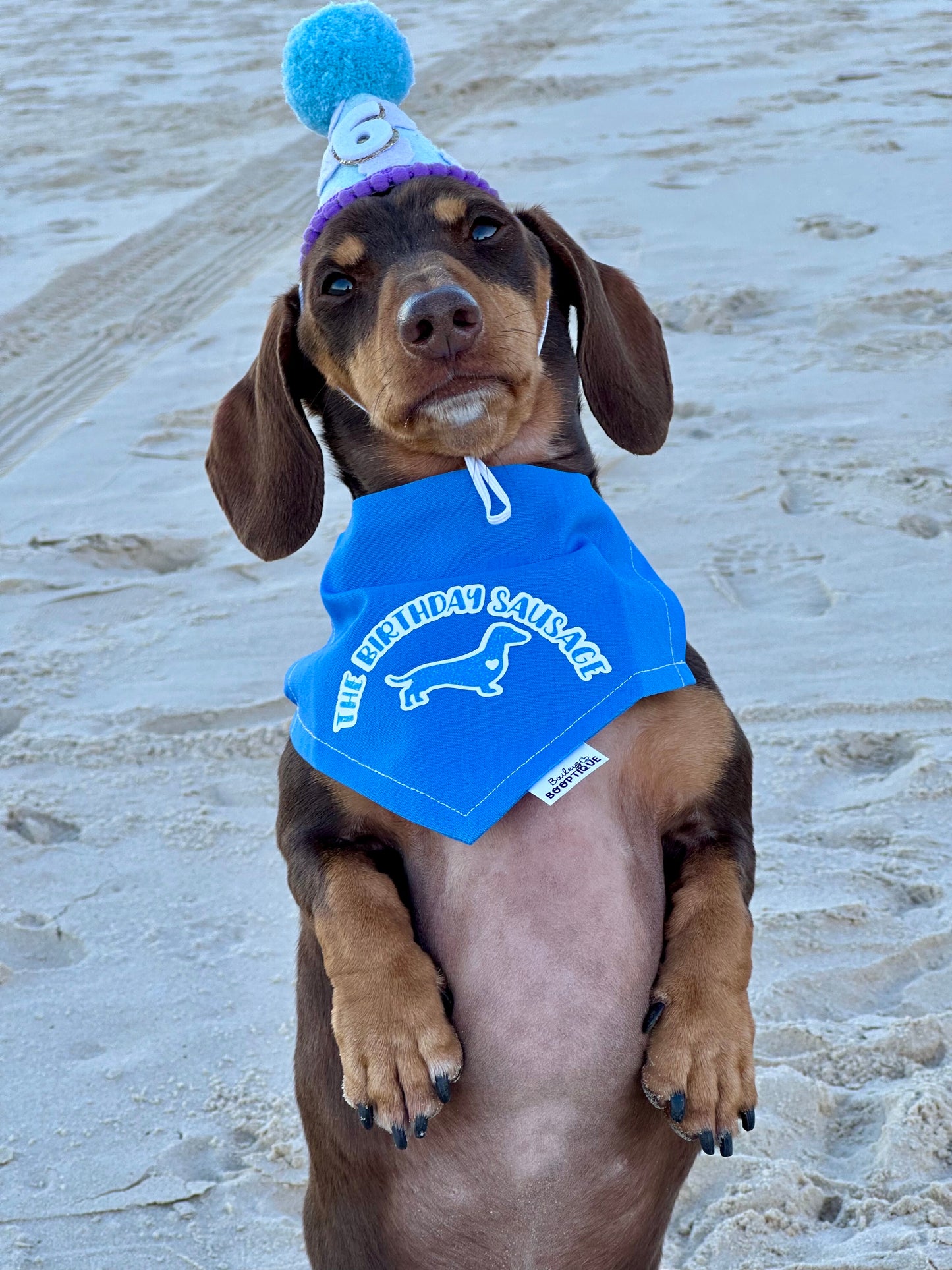 The Birthday Sausage Bandana