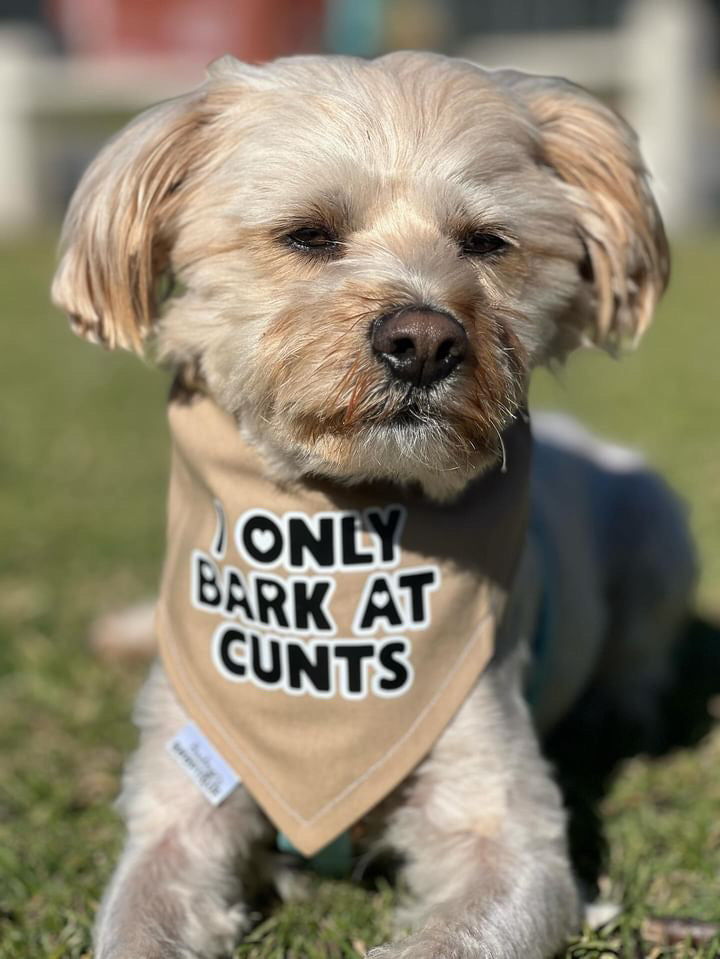 I only bark at cunts custom Bandana