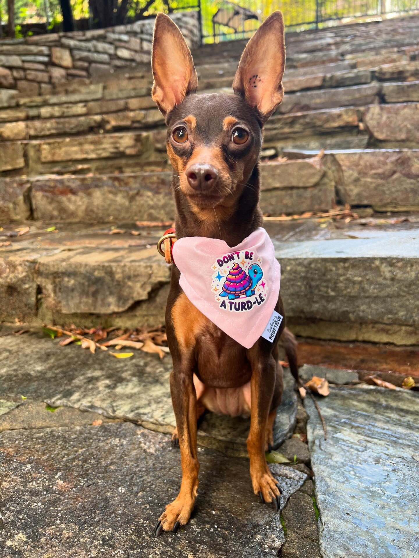 Don't Be A Turd-le Custom Bandana