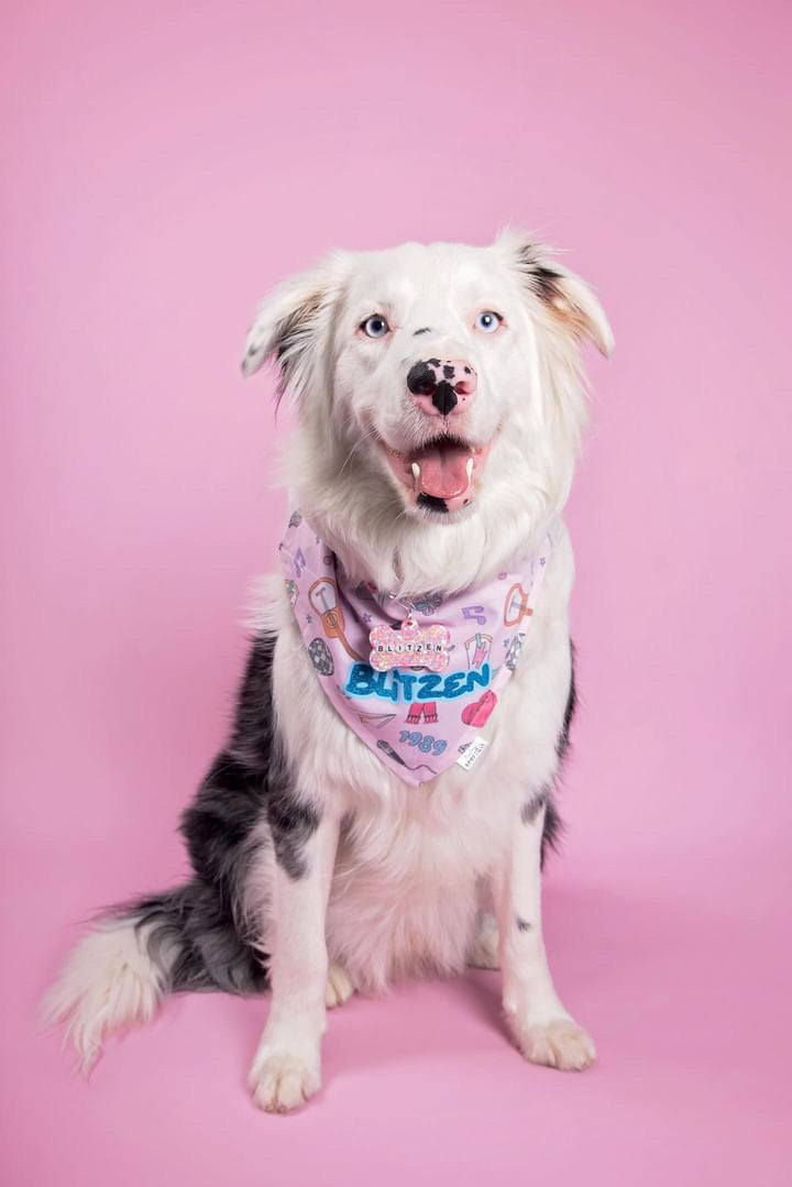 Pop Star Custom Bandana