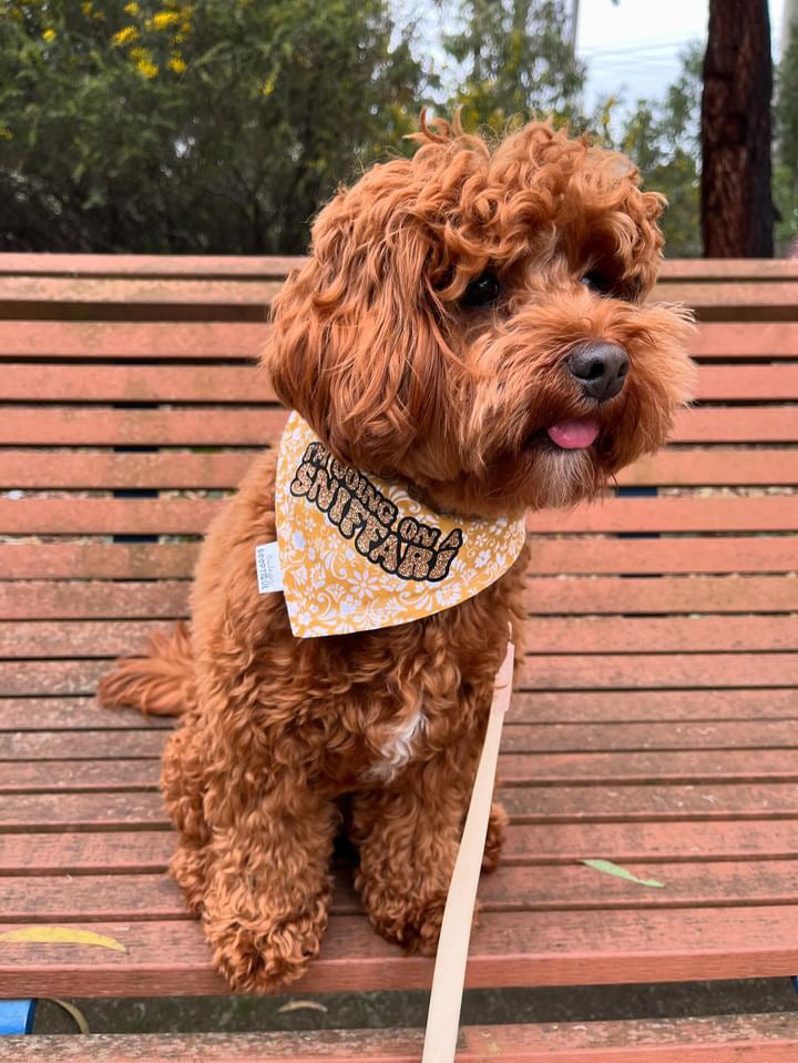 I’m going on a sniffari Custom Bandana
