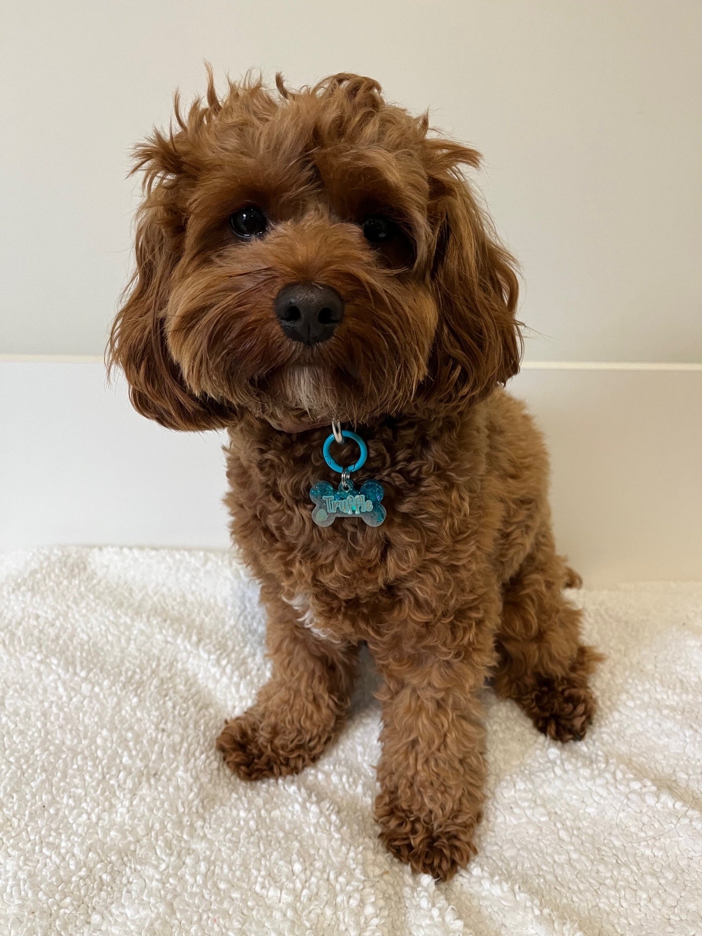 Mermaid Sand Pet ID Tag