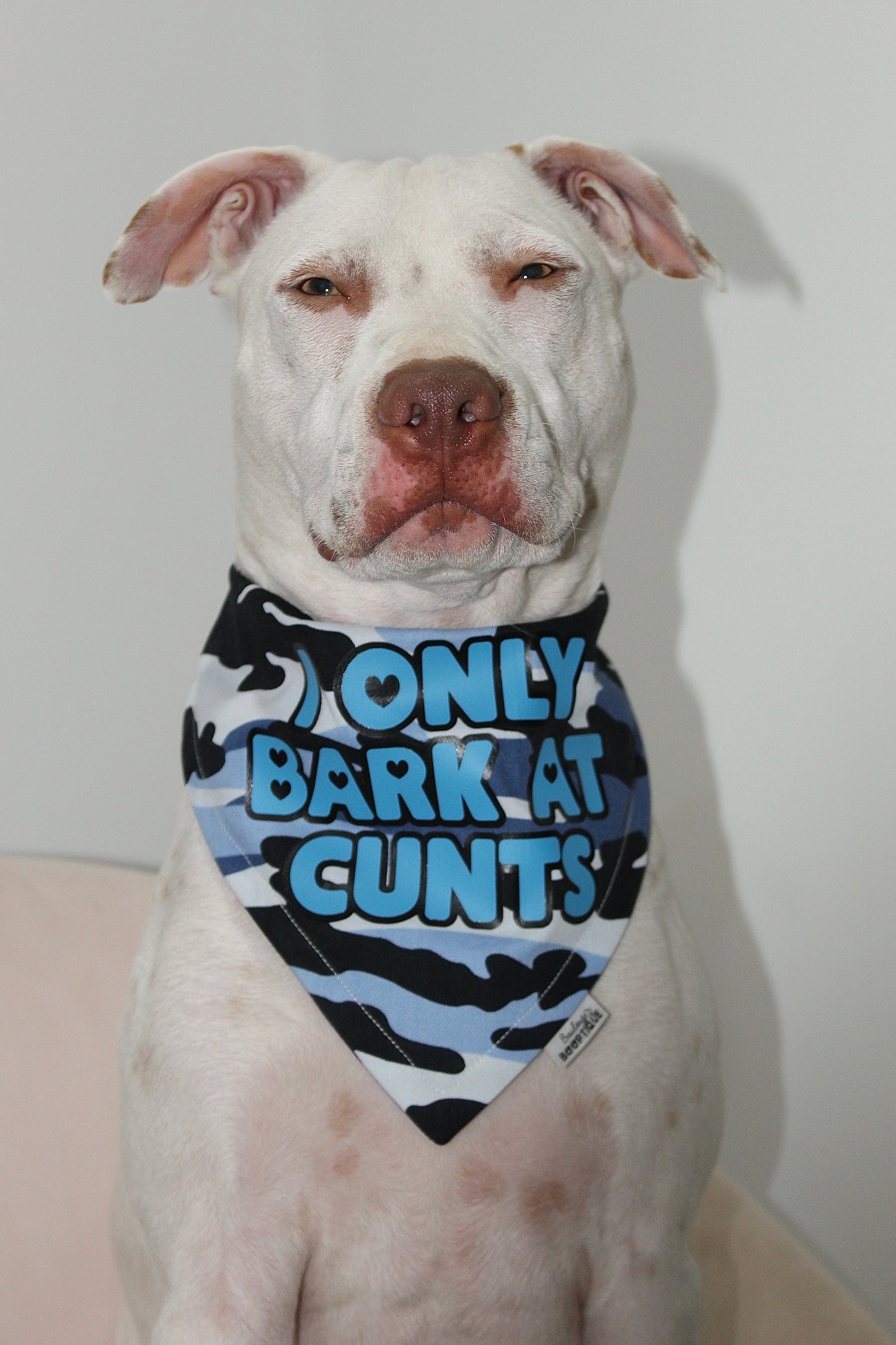 I only bark at cunts custom Bandana