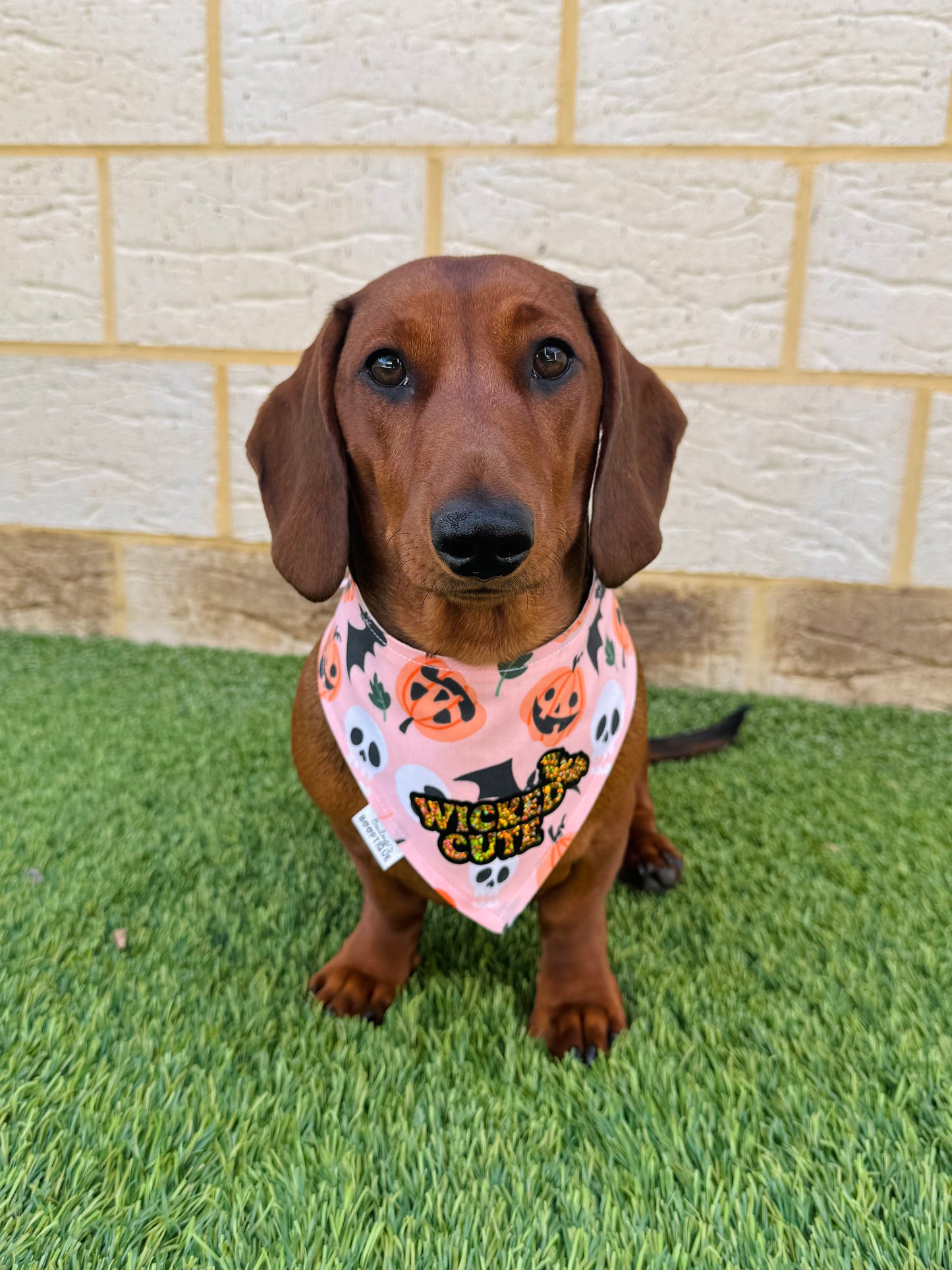 Cute & Creepy Custom Halloween Bandana