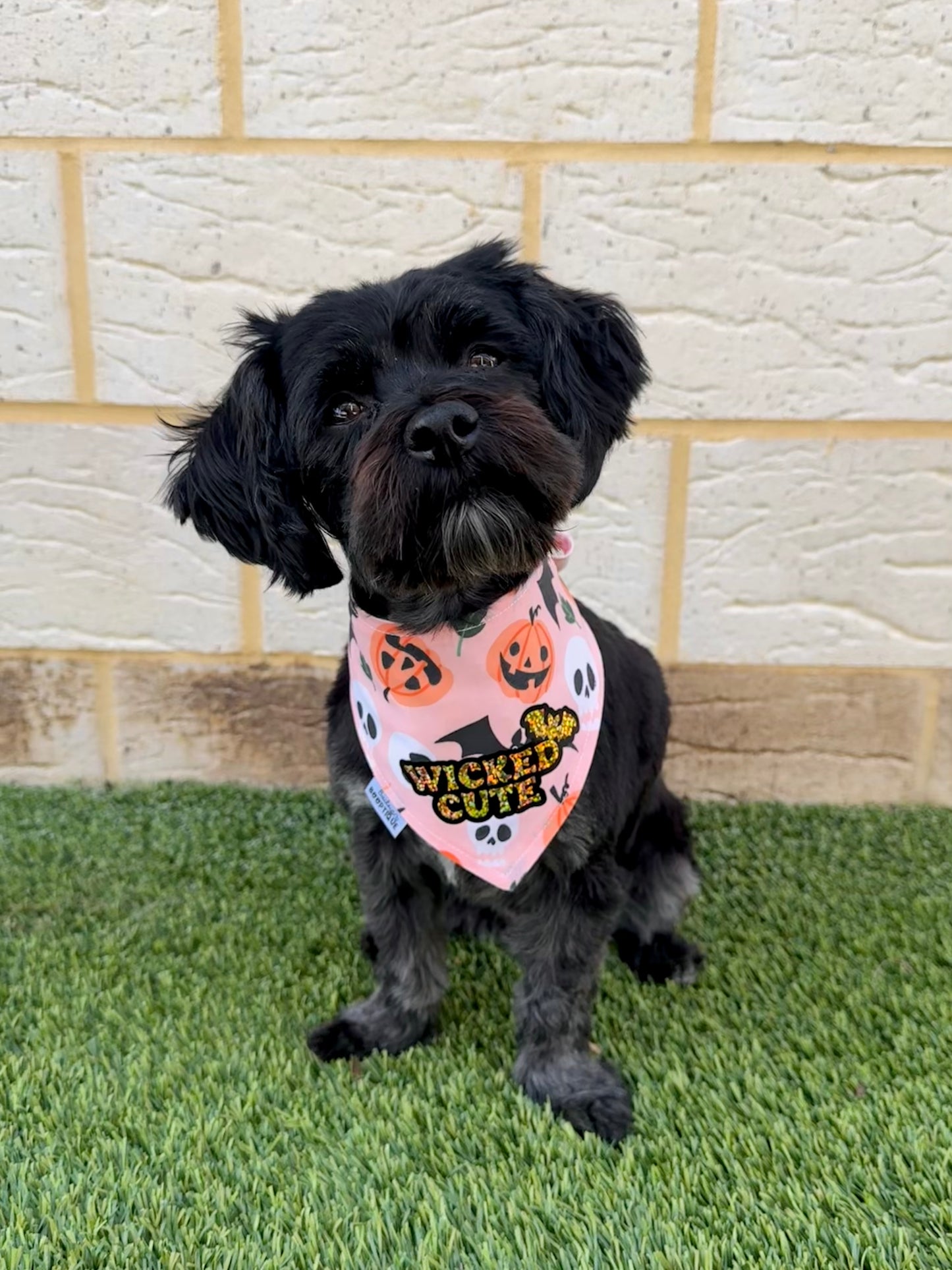 Cute & Creepy Custom Halloween Bandana