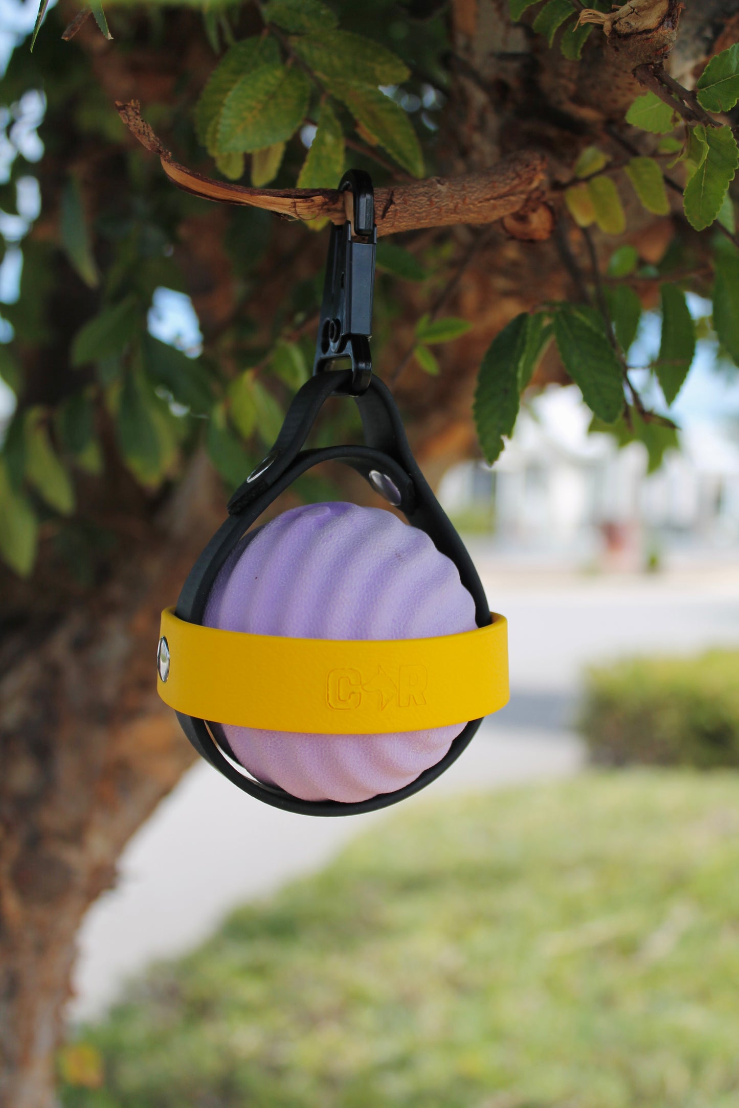 Biothane Ball Holder || Collar & Ruff