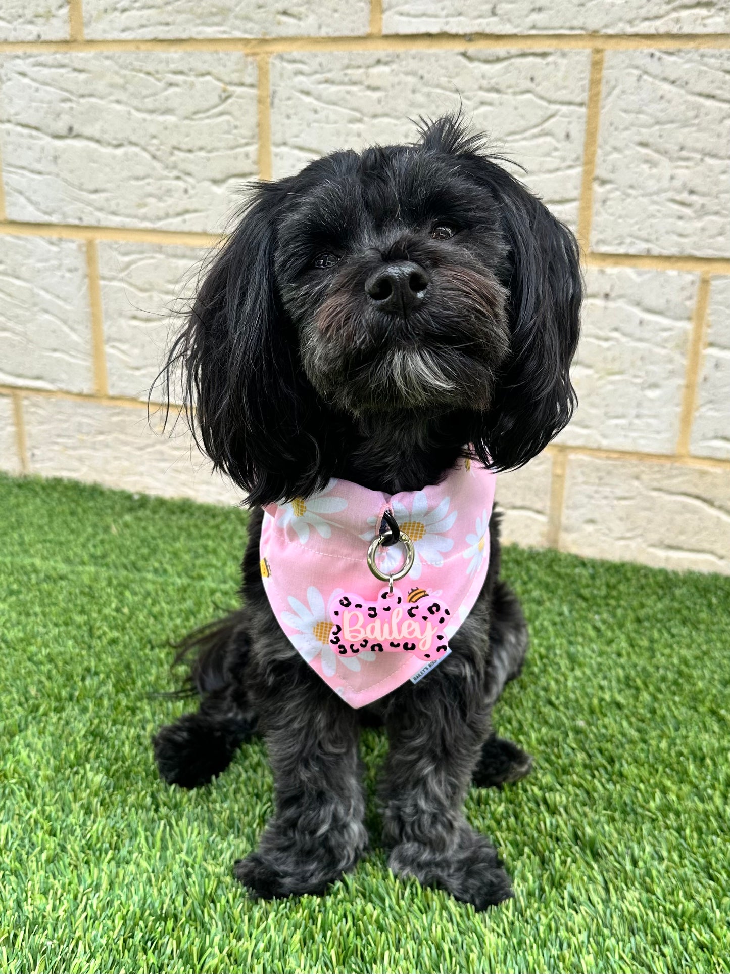 *Discontinued* Pink Bee Bandana